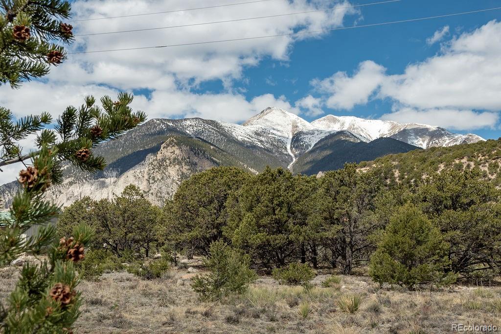 MLS Image #4 for 15194  heywood  ln ,nathrop, Colorado