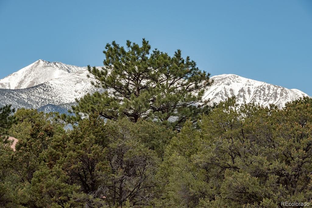 MLS Image #5 for 15194  heywood  ln ,nathrop, Colorado
