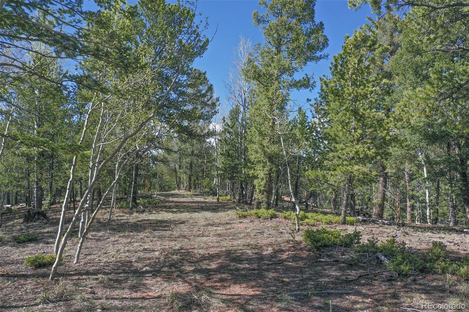 MLS Image #36 for 222  fluorite lane,divide, Colorado
