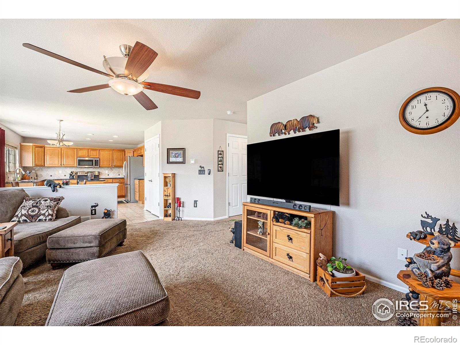 MLS Image #4 for 4170  combine place,brighton, Colorado