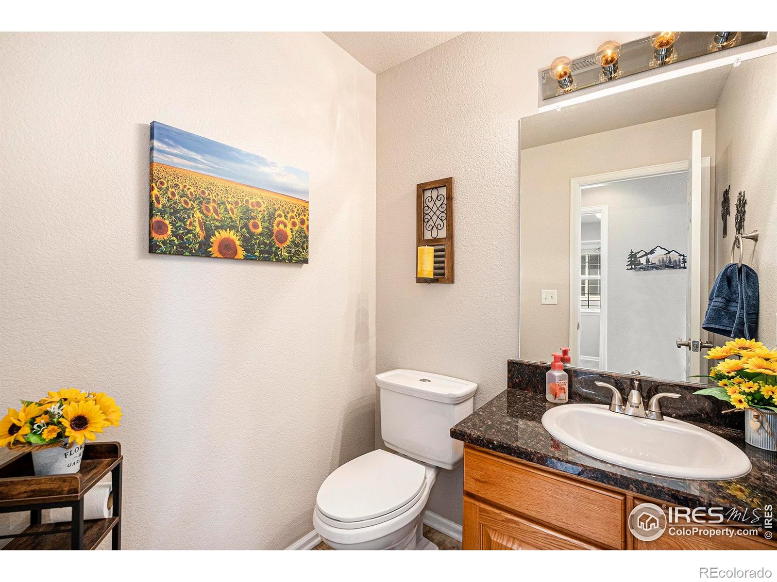 MLS Image #7 for 4170  combine place,brighton, Colorado