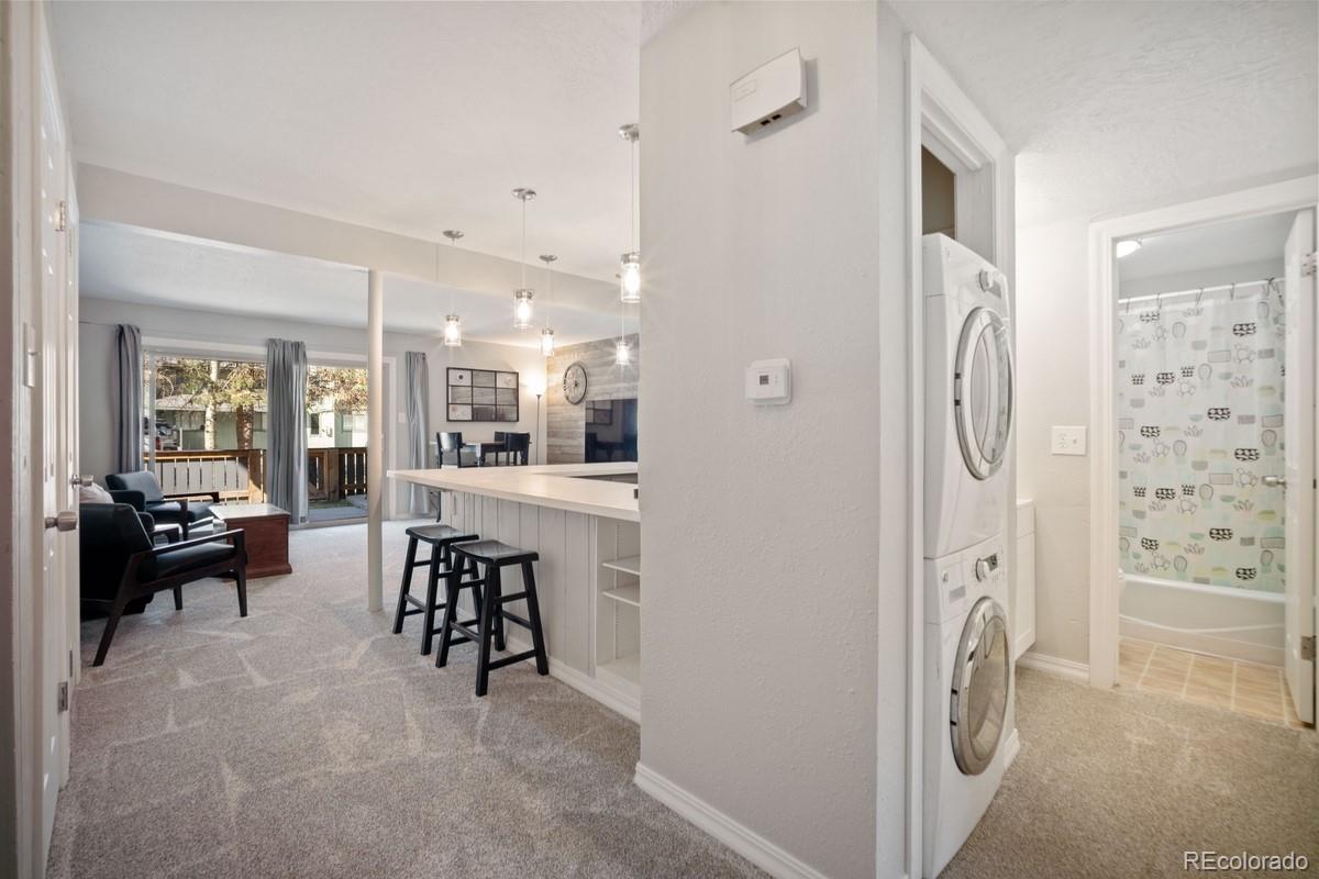 MLS Image #13 for 933  straight creek drive,dillon, Colorado