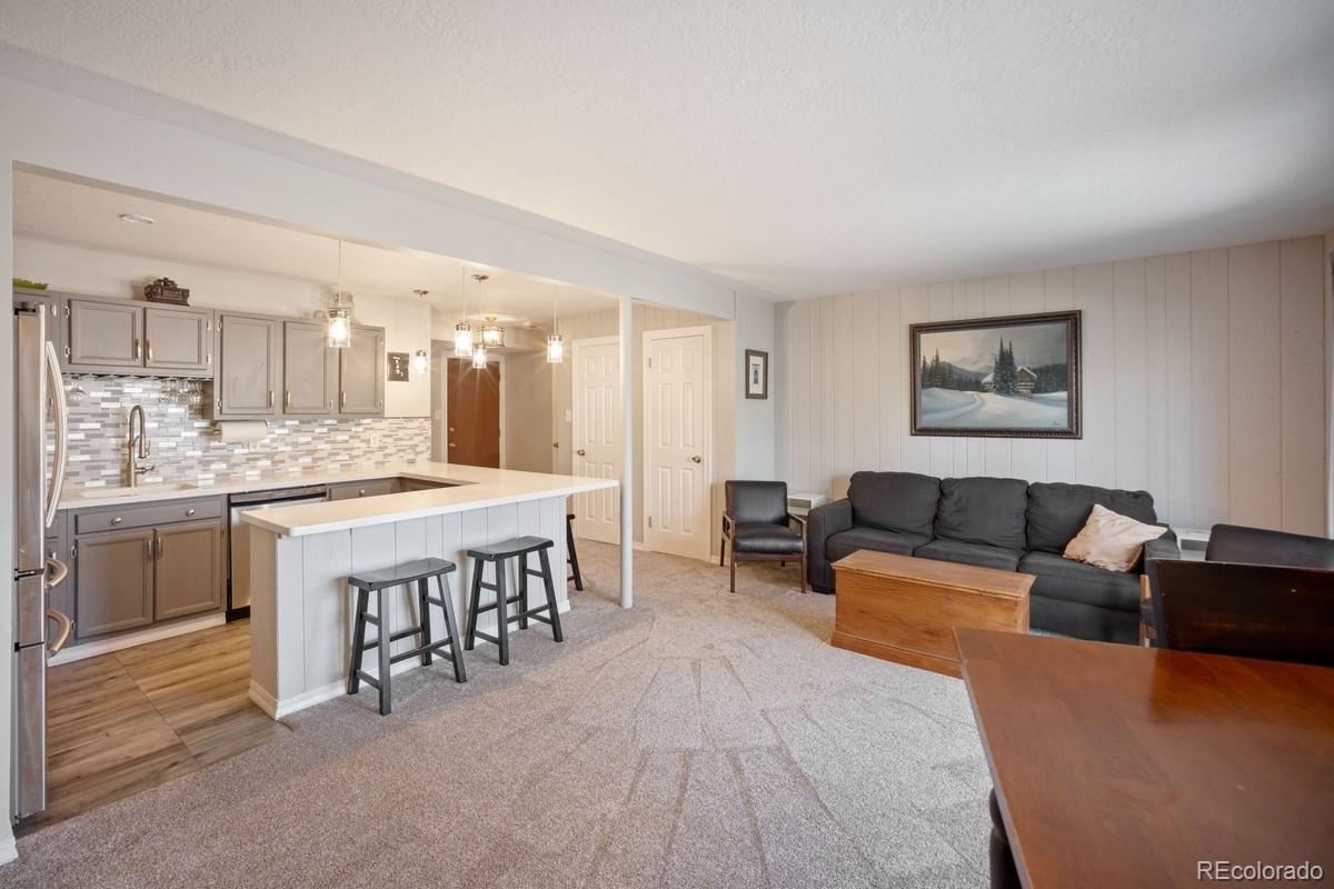 MLS Image #3 for 933  straight creek drive,dillon, Colorado