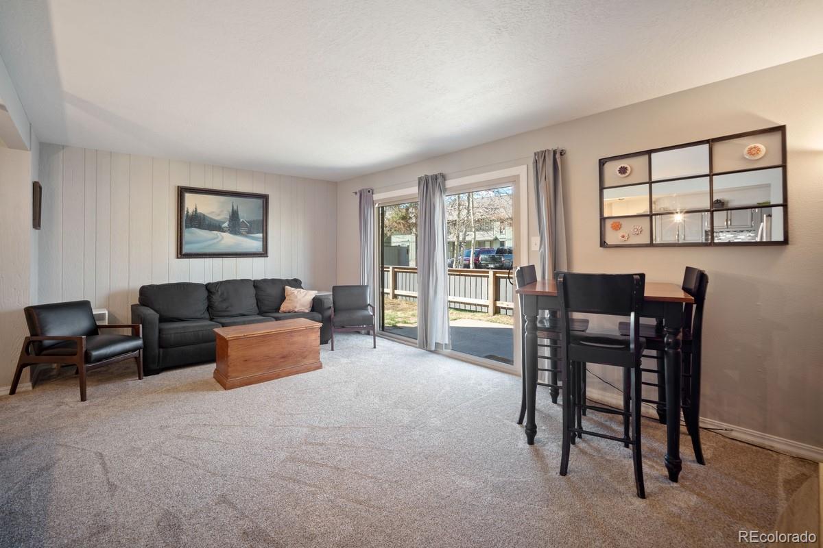MLS Image #4 for 933  straight creek drive,dillon, Colorado