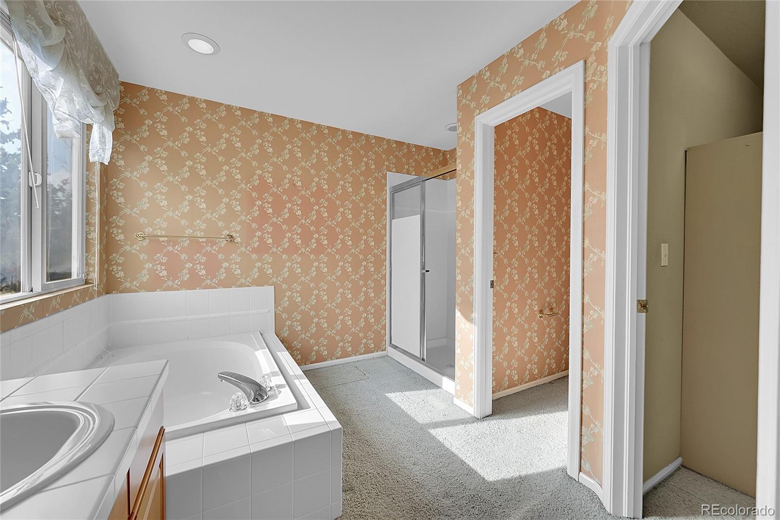 MLS Image #19 for 18142 e oakwood place,aurora, Colorado