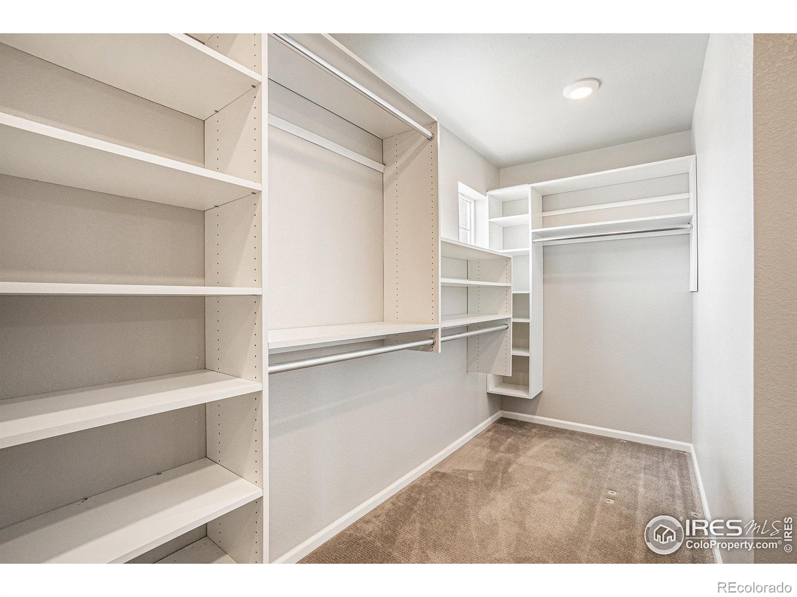 MLS Image #22 for 1912  los cabos drive,windsor, Colorado