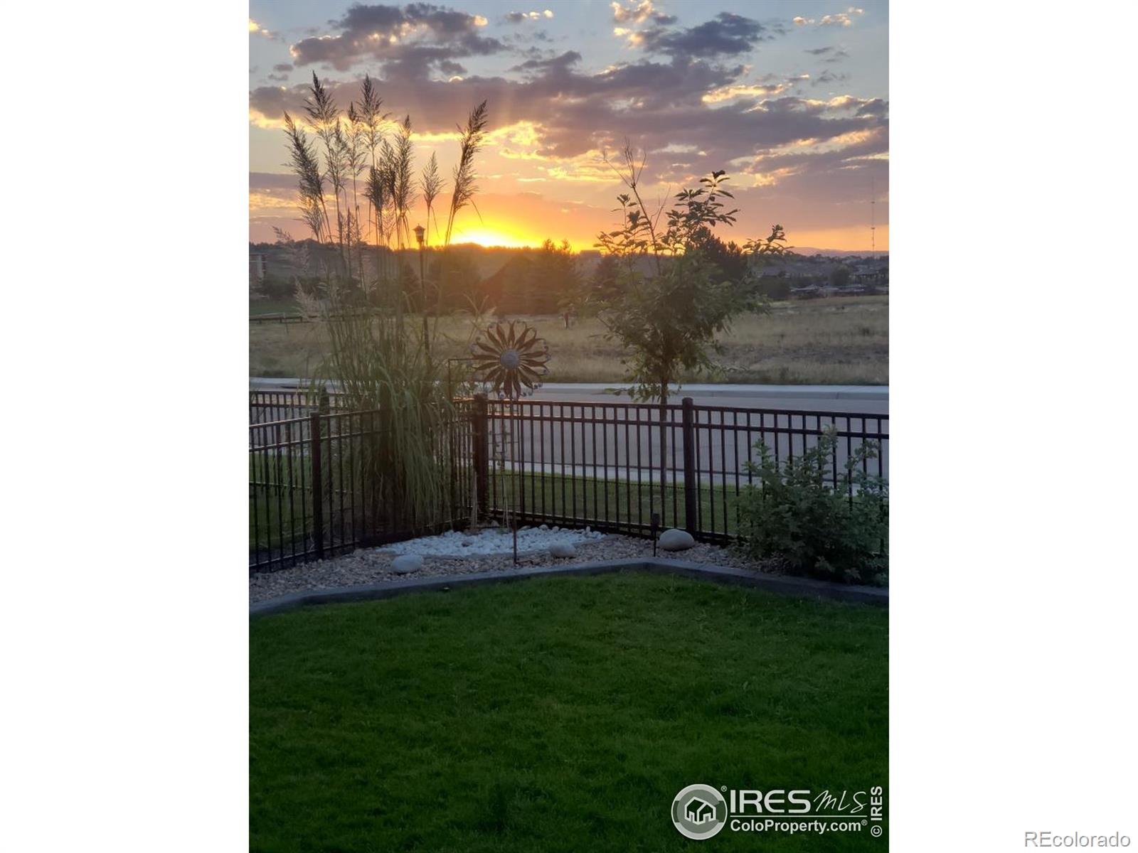 MLS Image #3 for 1912  los cabos drive,windsor, Colorado