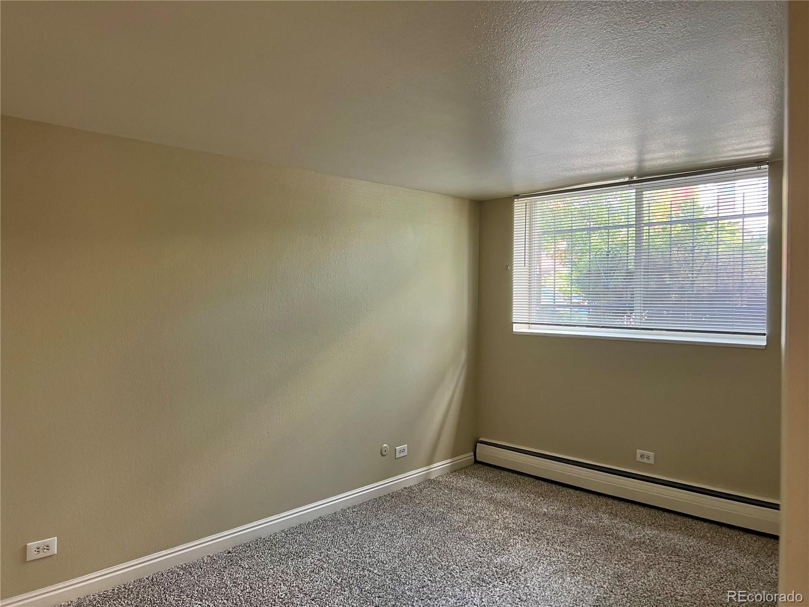 MLS Image #6 for 1390  emerson street,denver, Colorado