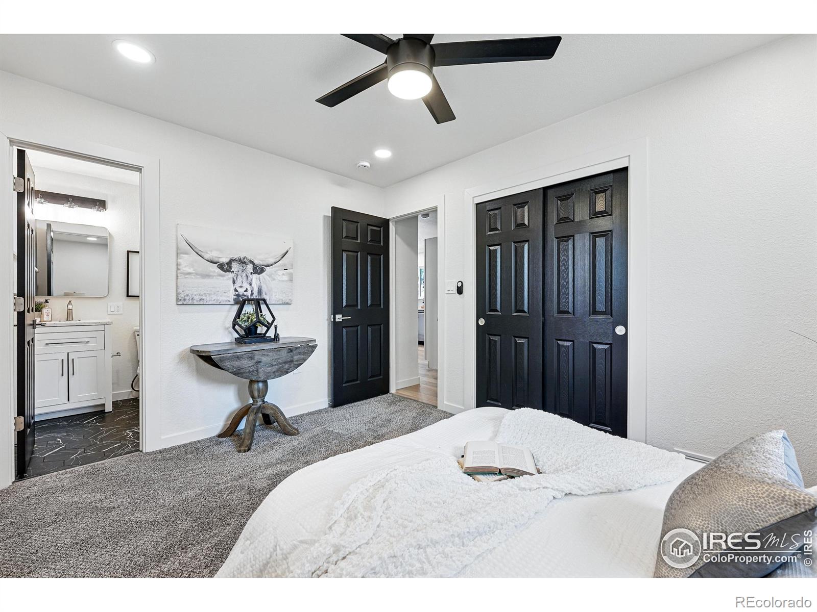 MLS Image #19 for 2209  purdue road,fort collins, Colorado