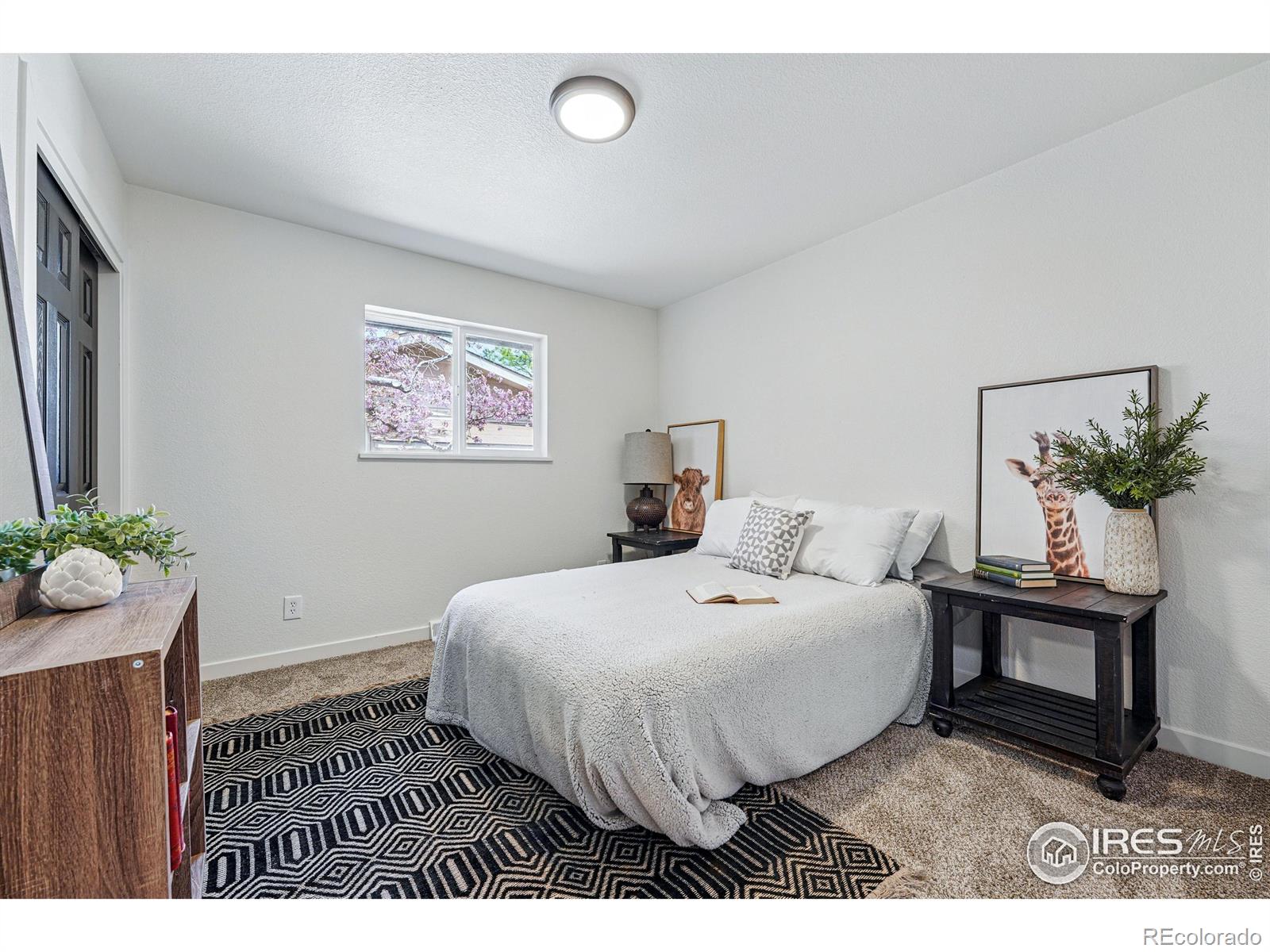 MLS Image #22 for 2209  purdue road,fort collins, Colorado