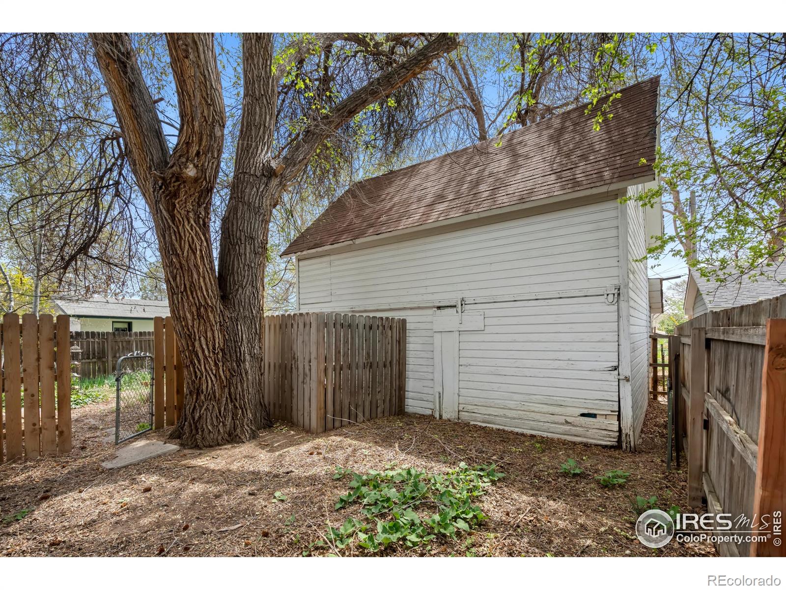 MLS Image #8 for 514 e 10th street,loveland, Colorado