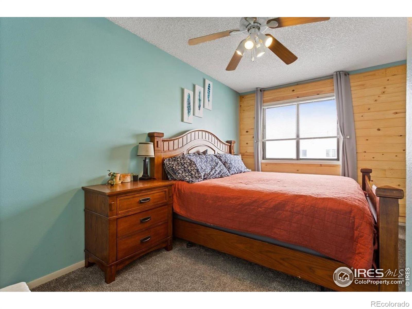 MLS Image #19 for 3024  ross drive,fort collins, Colorado