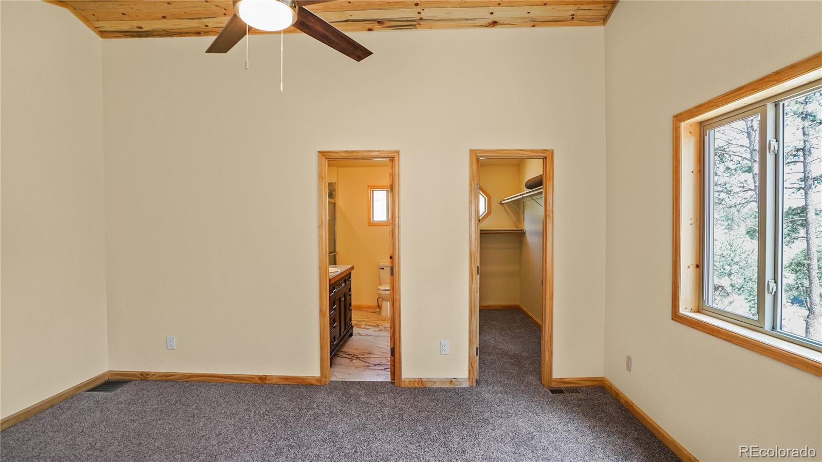 MLS Image #10 for 325  bob cat trail,bailey, Colorado