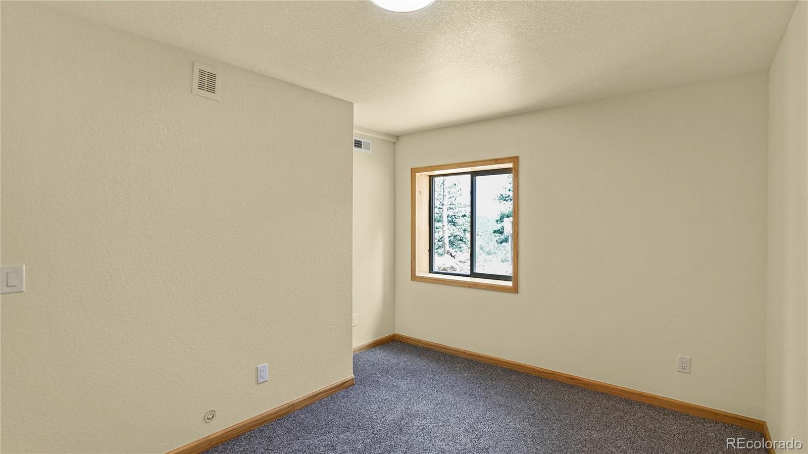 MLS Image #12 for 325  bob cat trail,bailey, Colorado