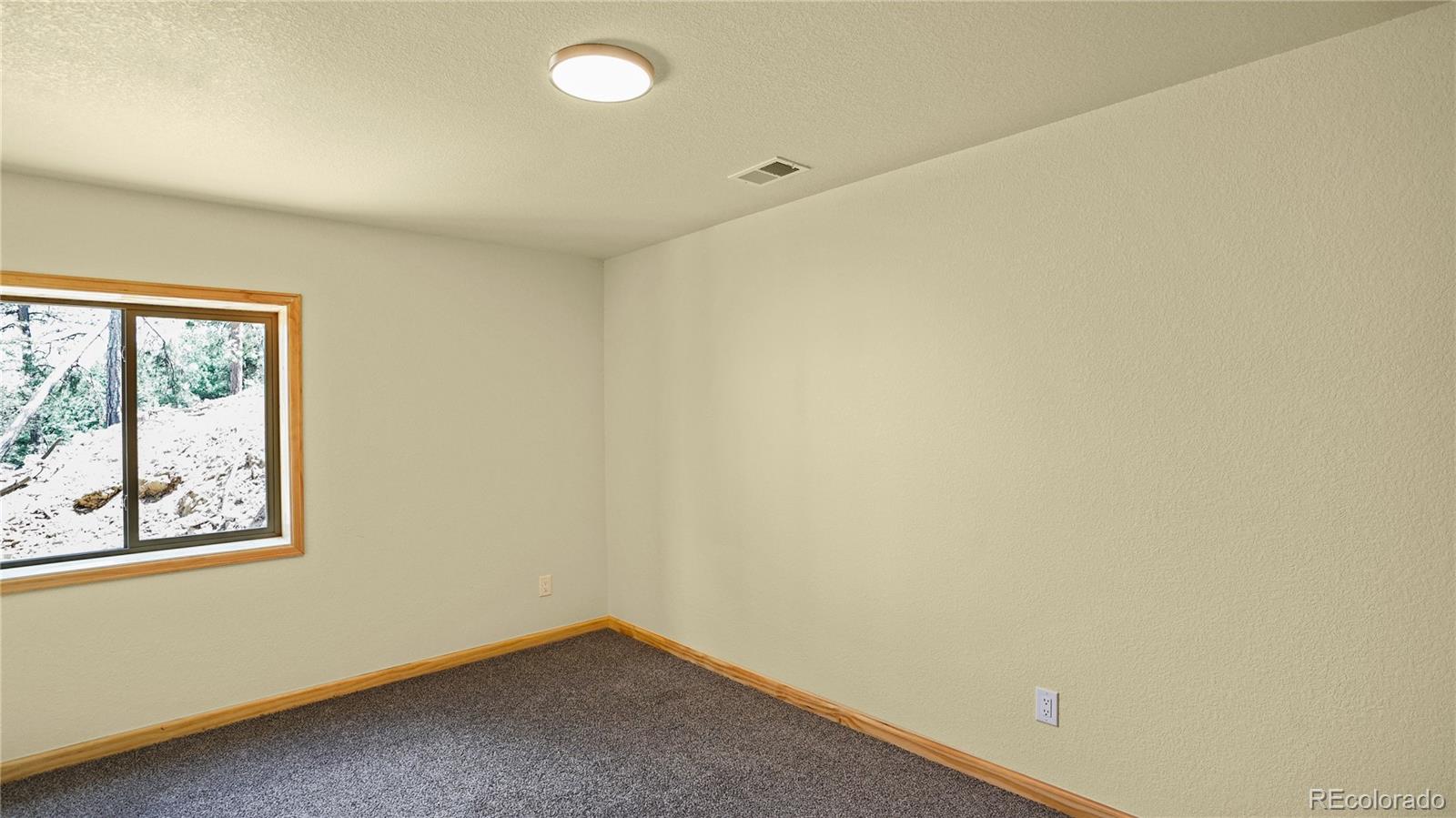 MLS Image #13 for 325  bob cat trail,bailey, Colorado