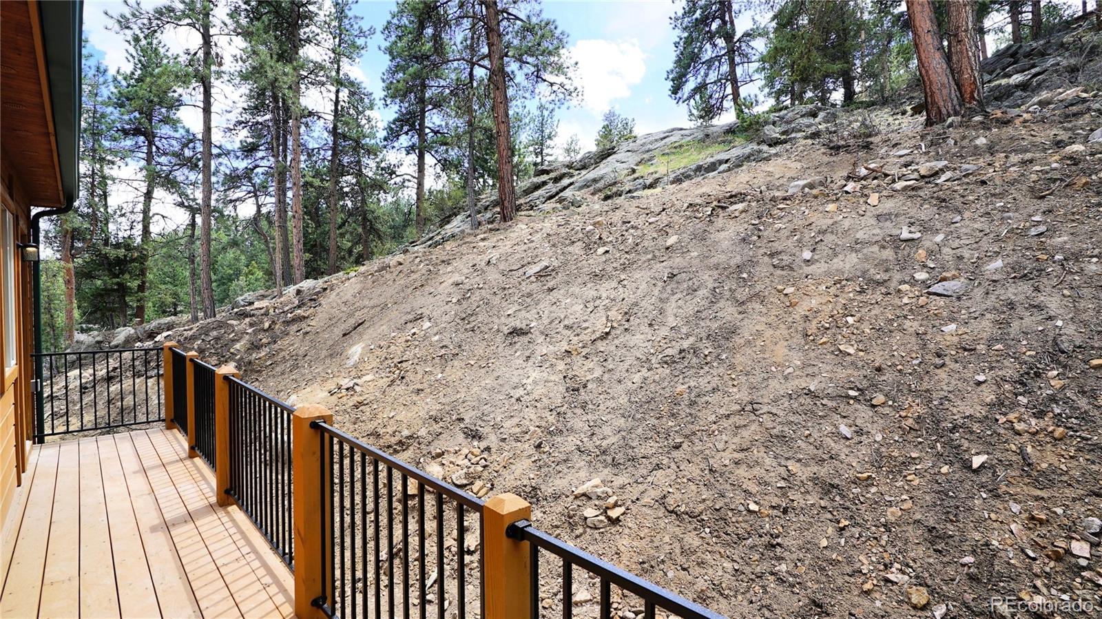MLS Image #20 for 325  bob cat trail,bailey, Colorado