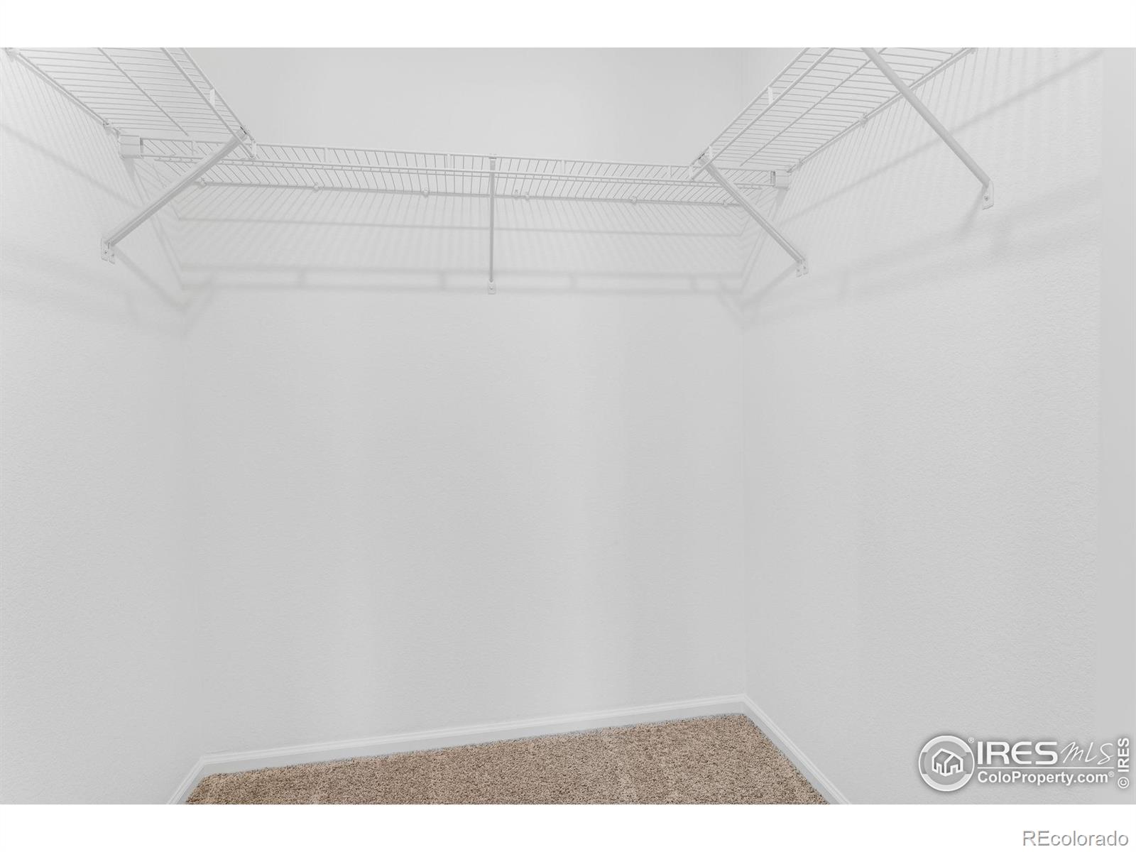 MLS Image #23 for 2338  irons street,erie, Colorado