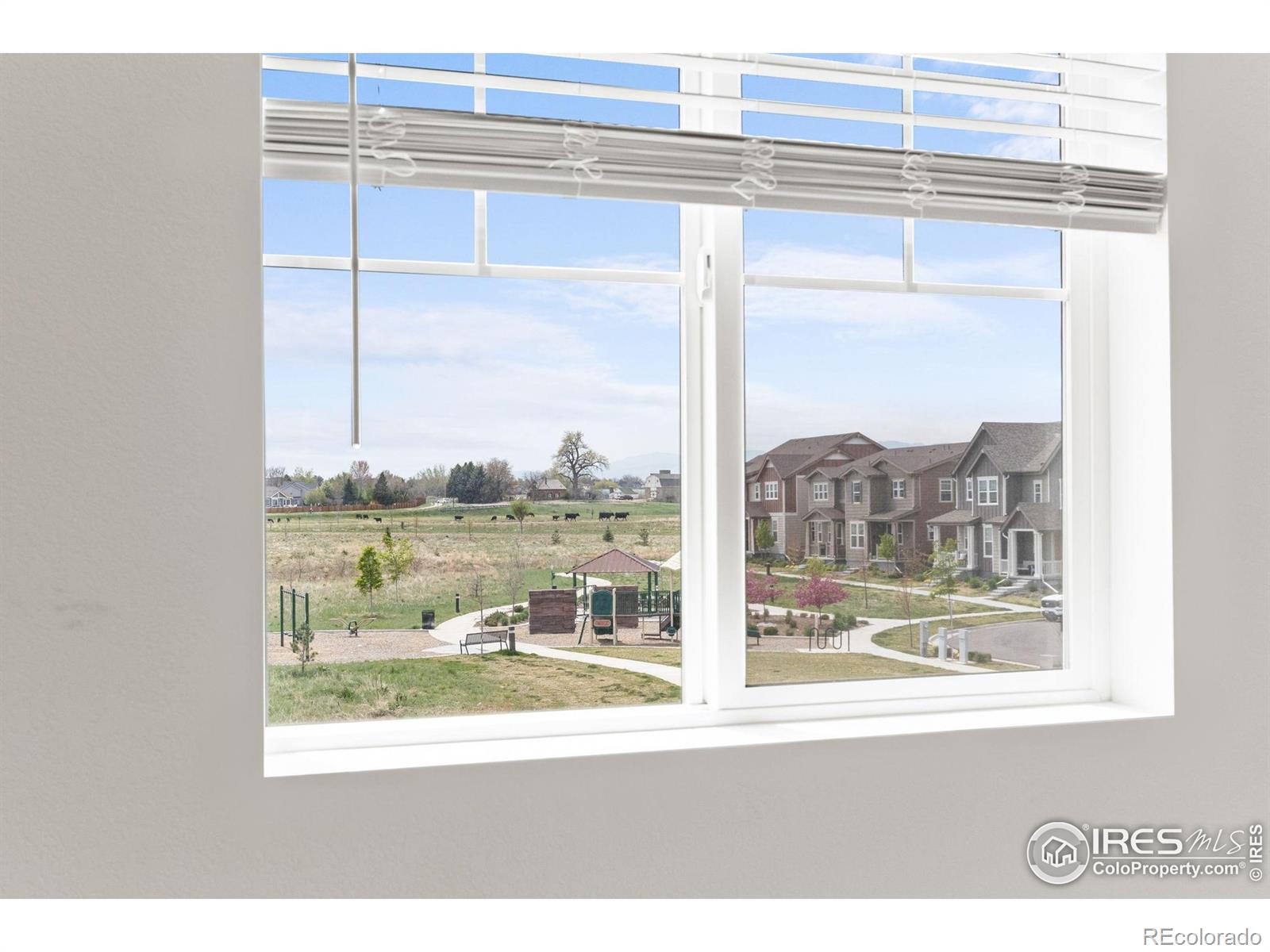 MLS Image #30 for 2338  irons street,erie, Colorado