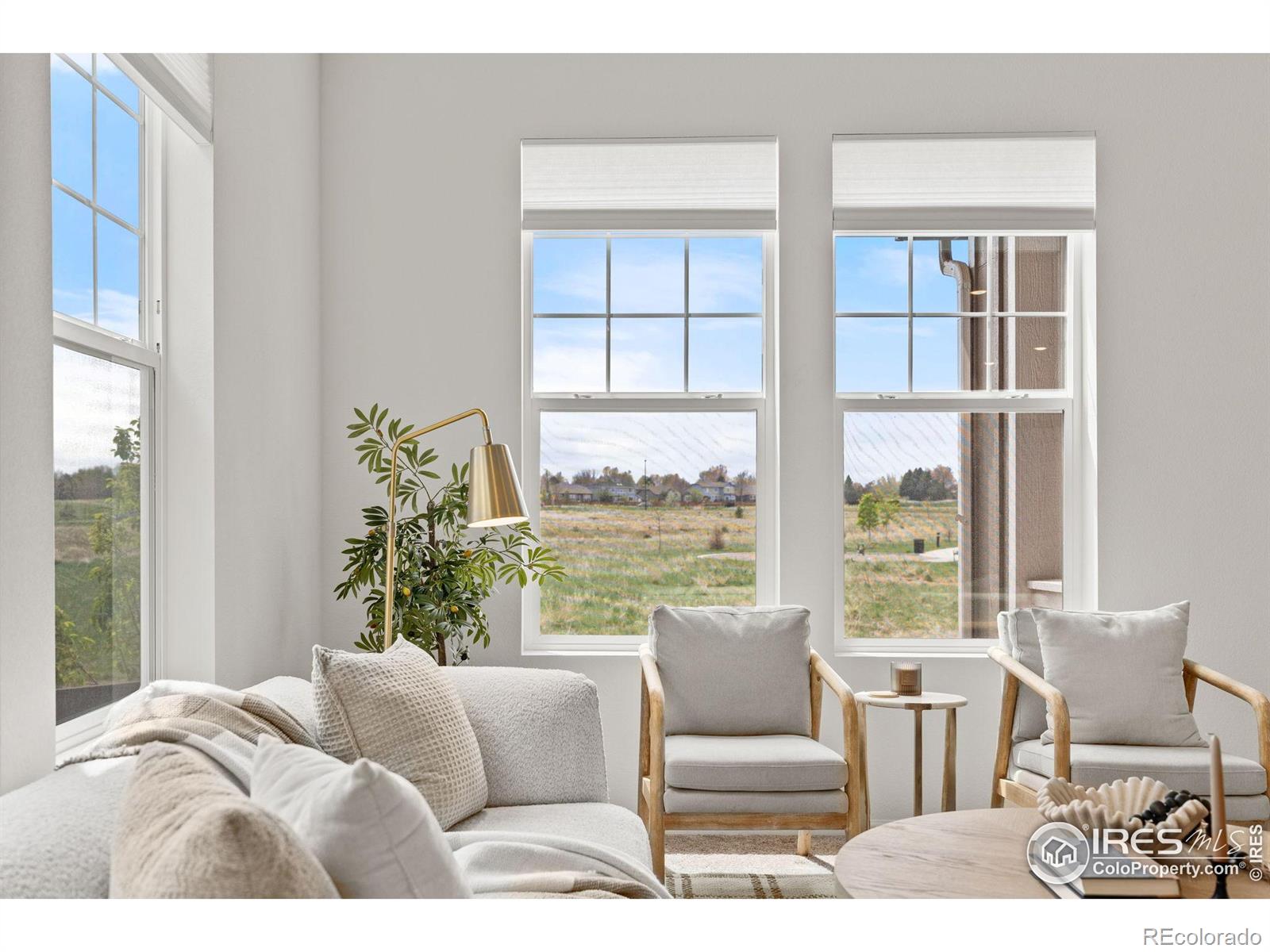 MLS Image #4 for 2338  irons street,erie, Colorado