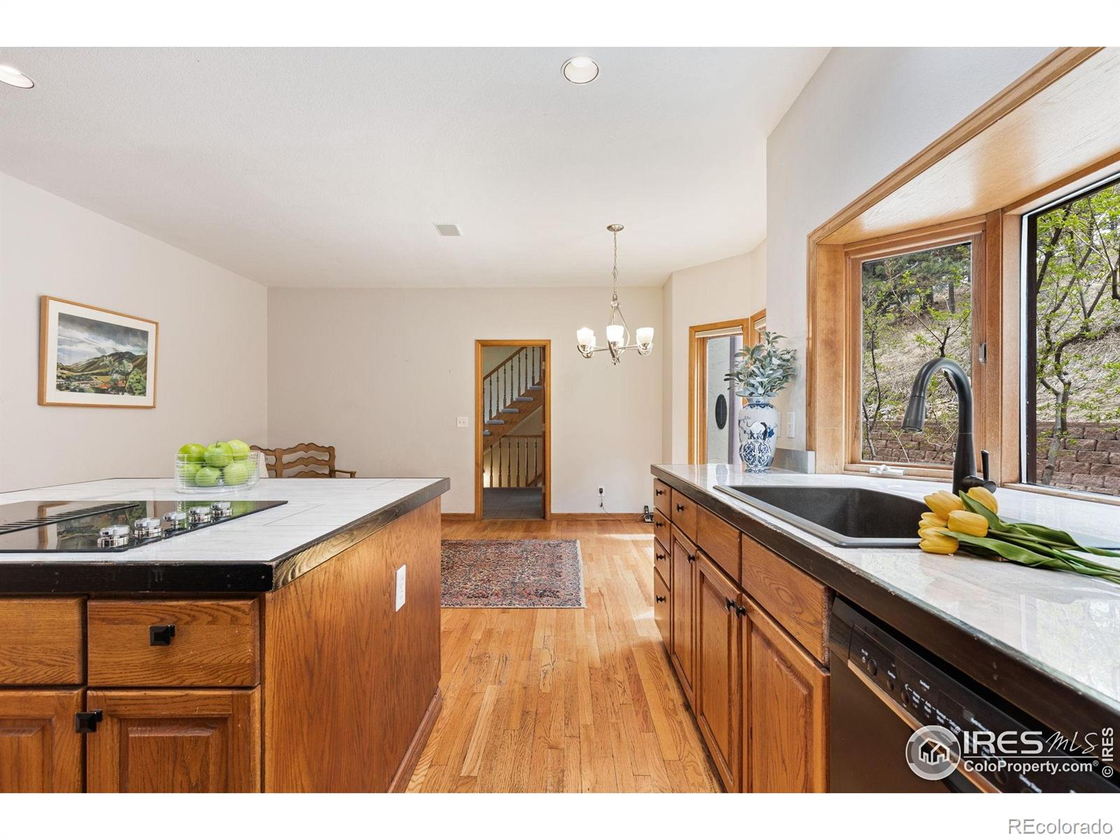 MLS Image #14 for 24771  westridge road,golden, Colorado