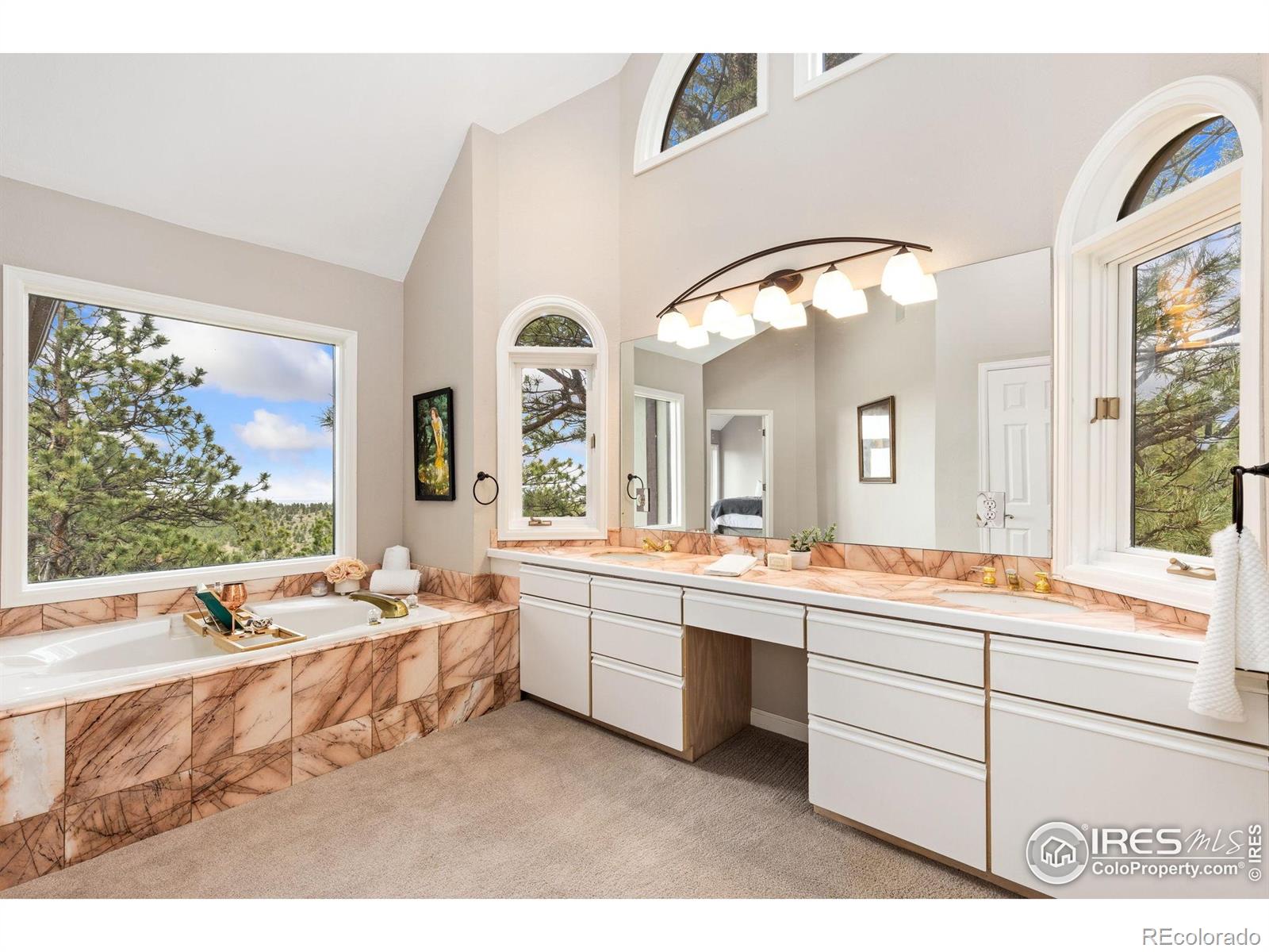 MLS Image #22 for 24771  westridge road,golden, Colorado