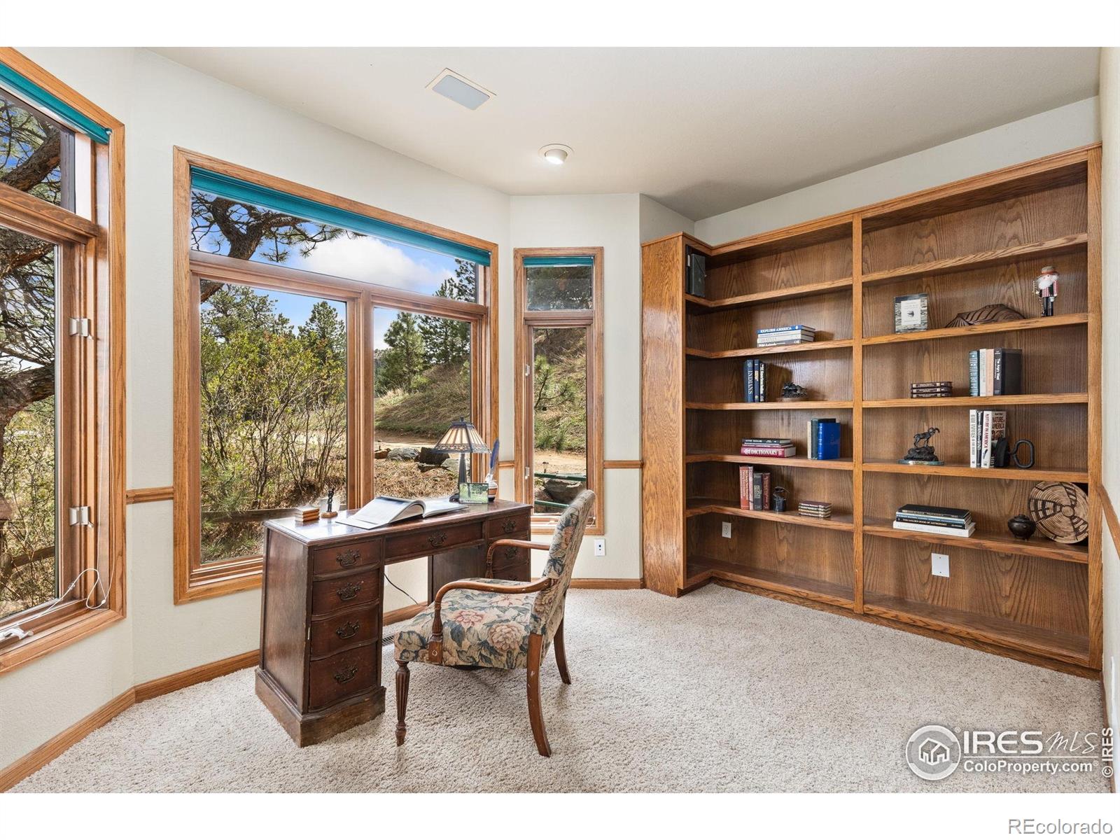 MLS Image #4 for 24771  westridge road,golden, Colorado