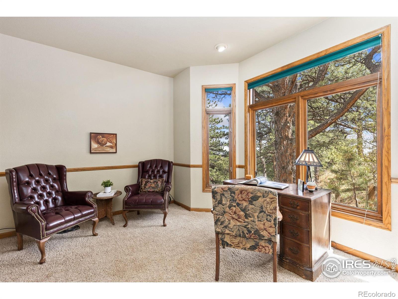 MLS Image #5 for 24771  westridge road,golden, Colorado