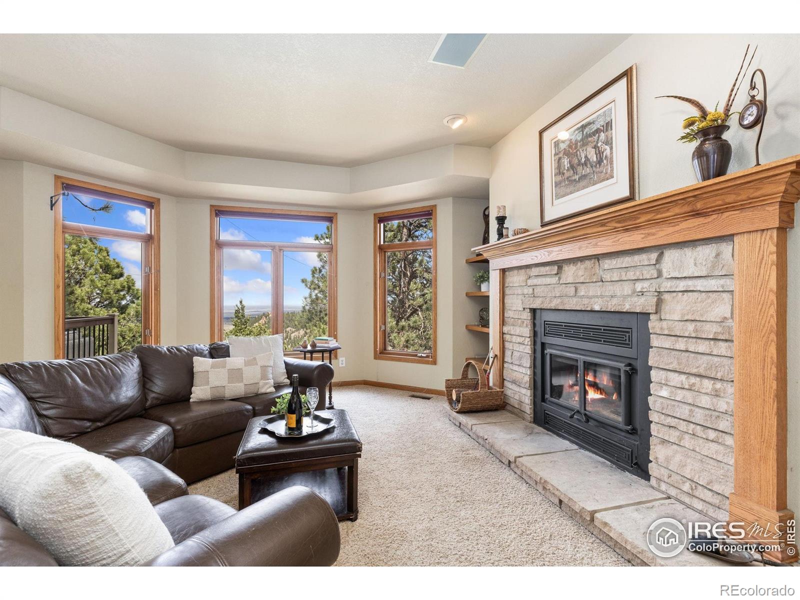 MLS Image #7 for 24771  westridge road,golden, Colorado