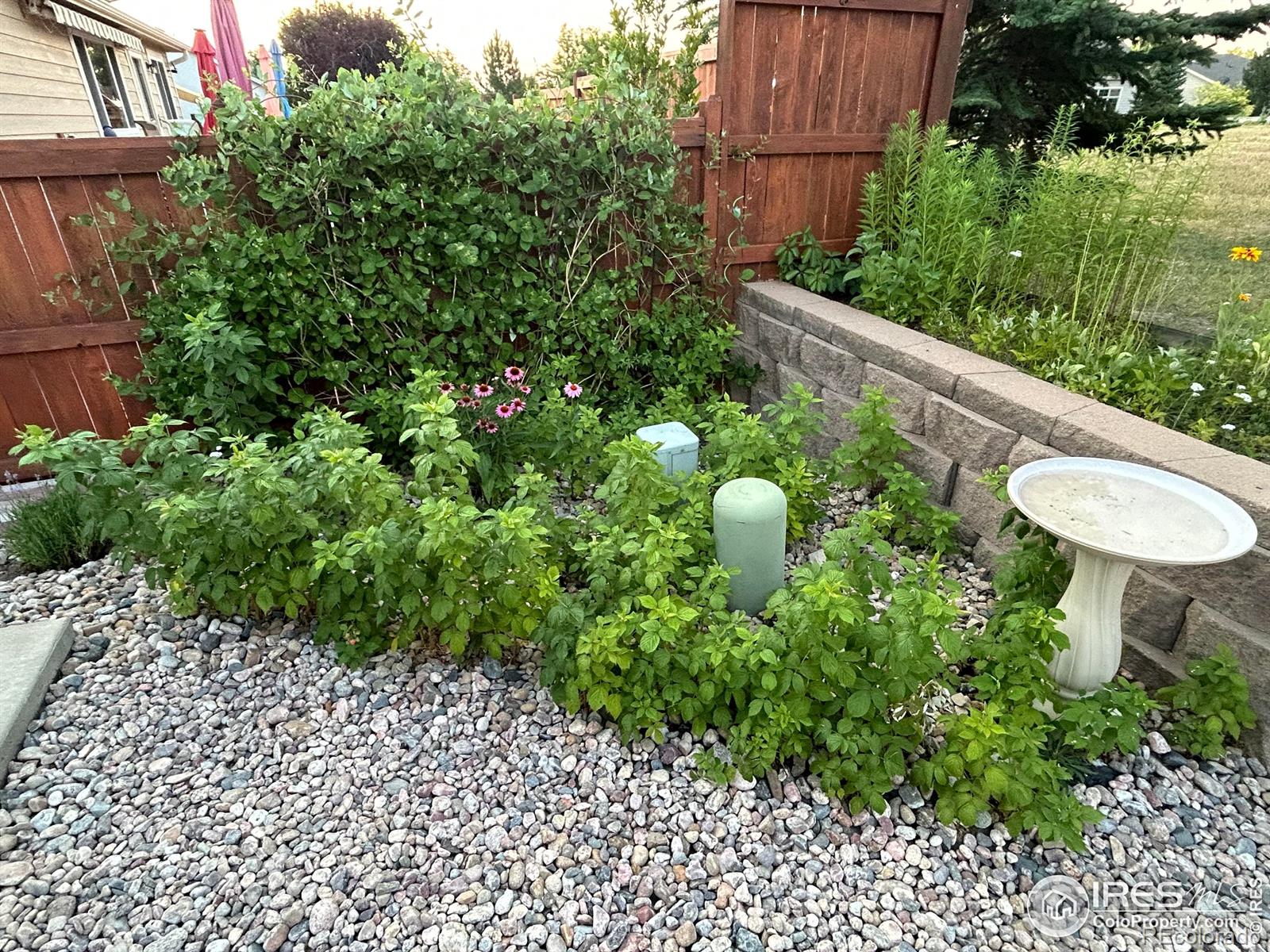 MLS Image #24 for 2278  steamboat springs street,loveland, Colorado