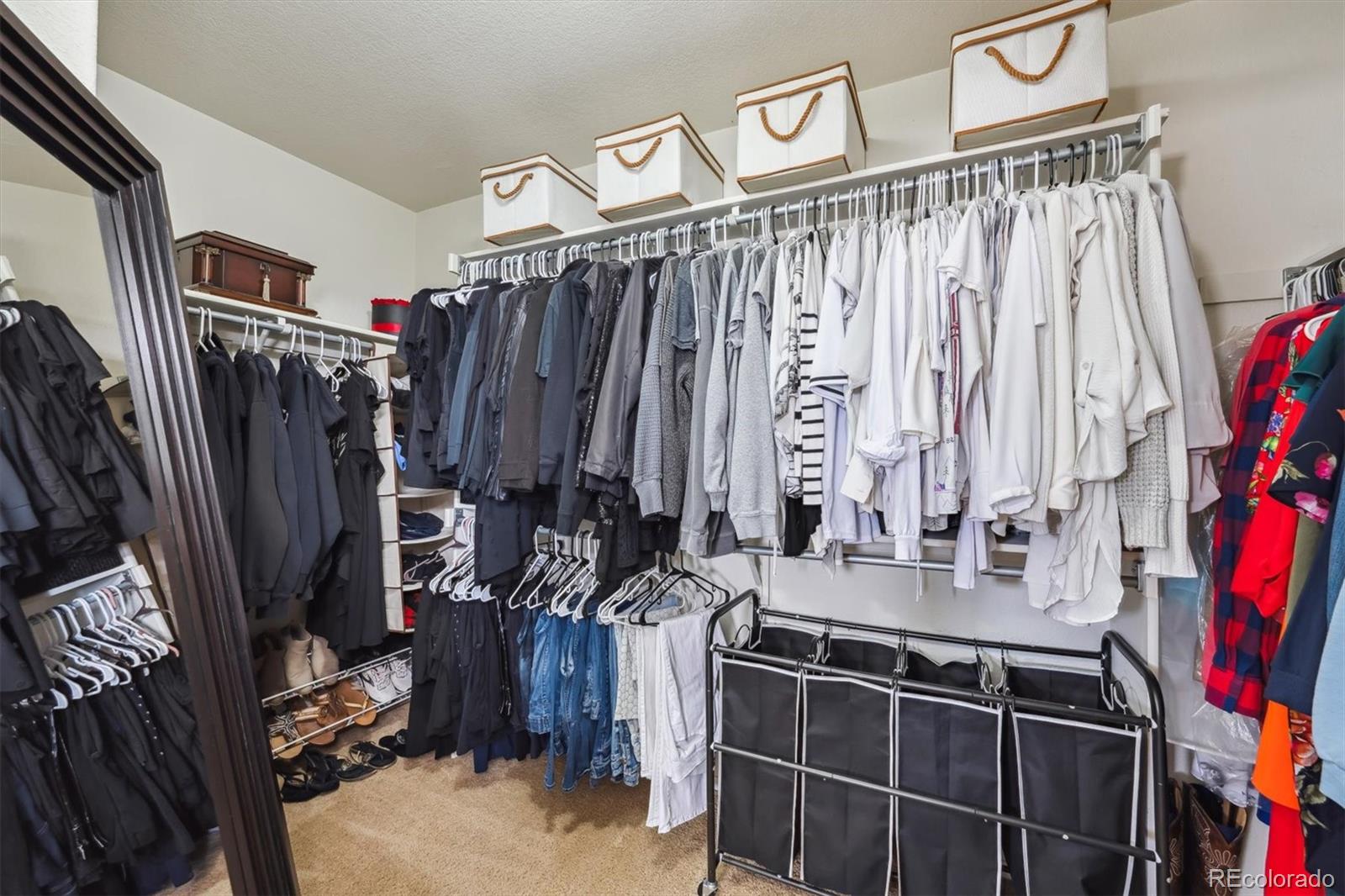 MLS Image #21 for 2359  dogwood drive,erie, Colorado