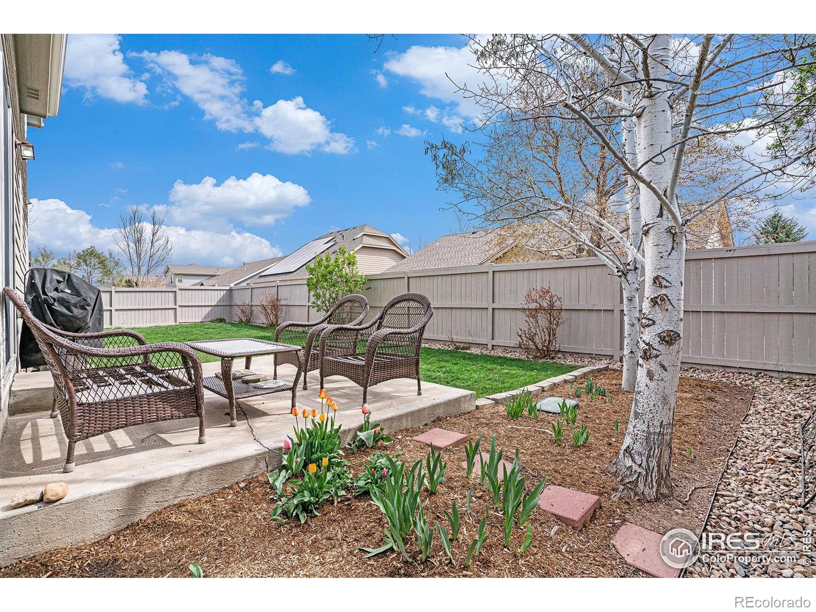 MLS Image #28 for 9040  painted horse lane,wellington, Colorado
