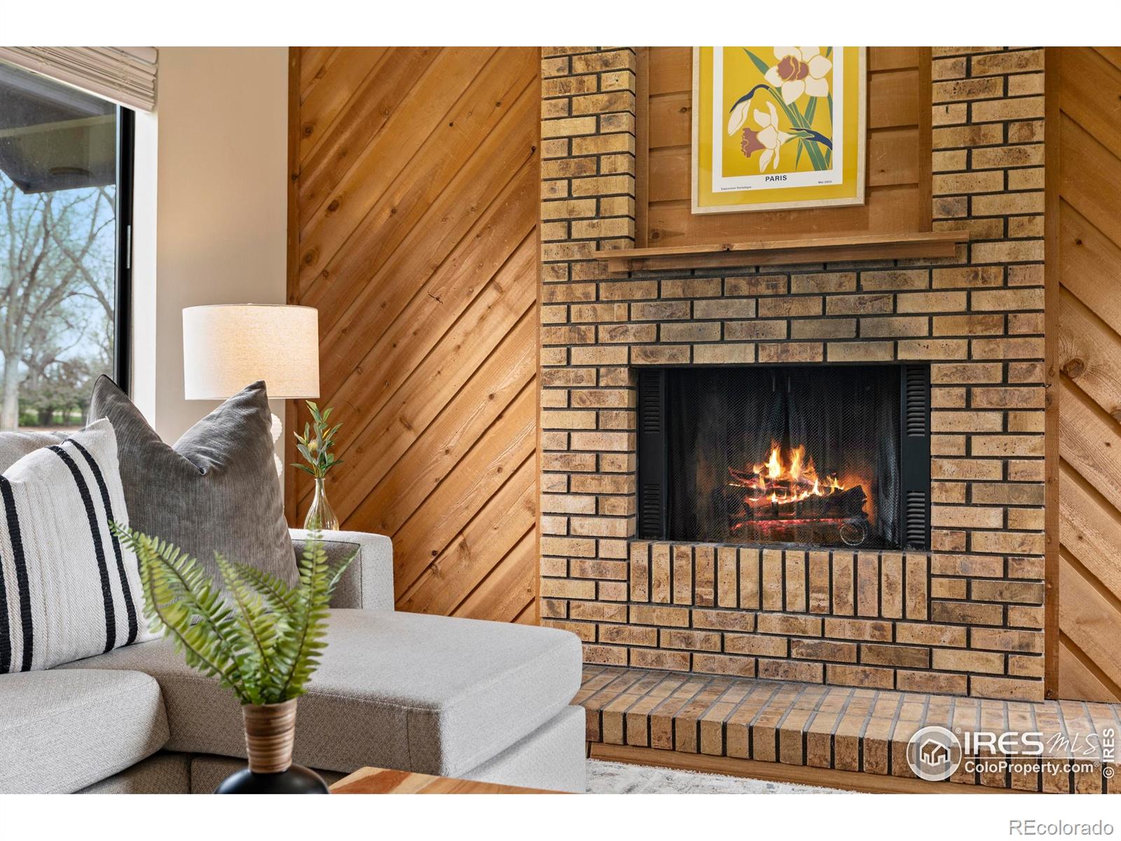 MLS Image #8 for 1906  waters edge street,fort collins, Colorado