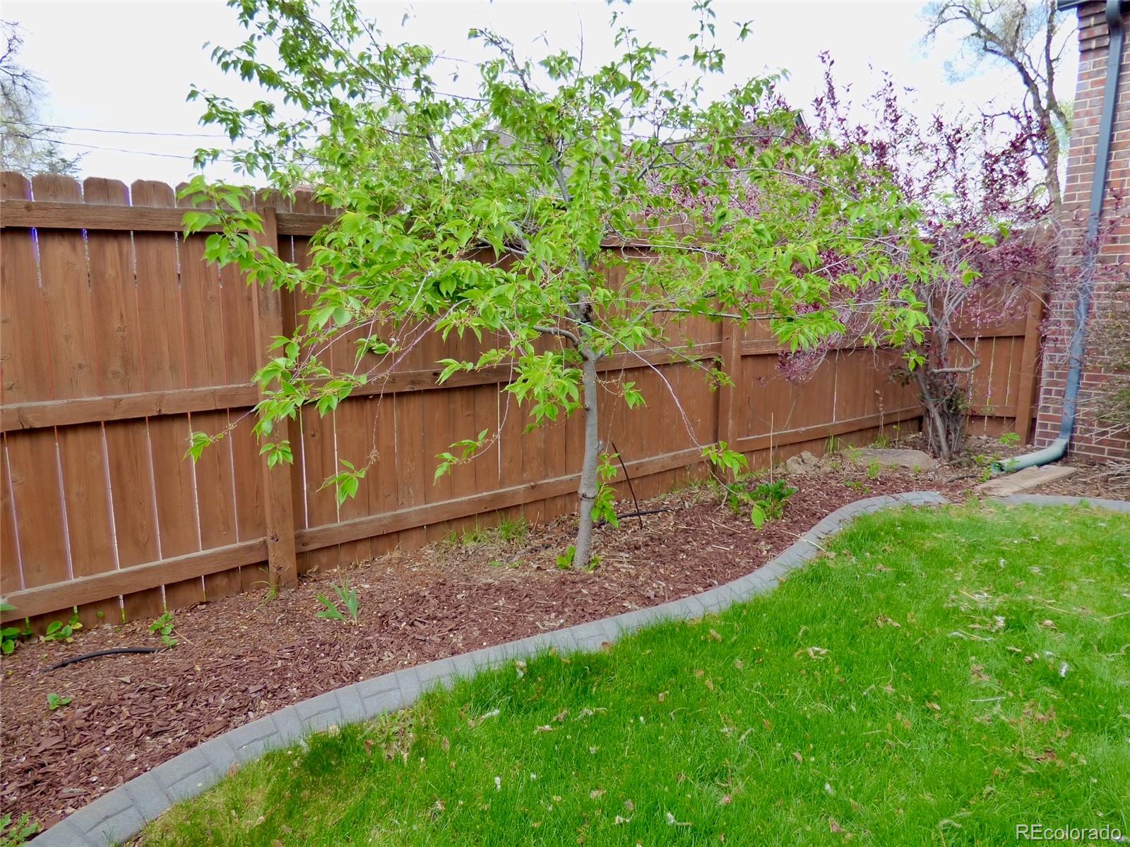 MLS Image #29 for 1315  grape street,denver, Colorado