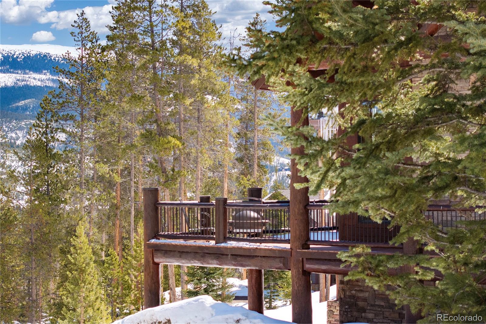 MLS Image #38 for 1119  gcr 8032 ,fraser, Colorado