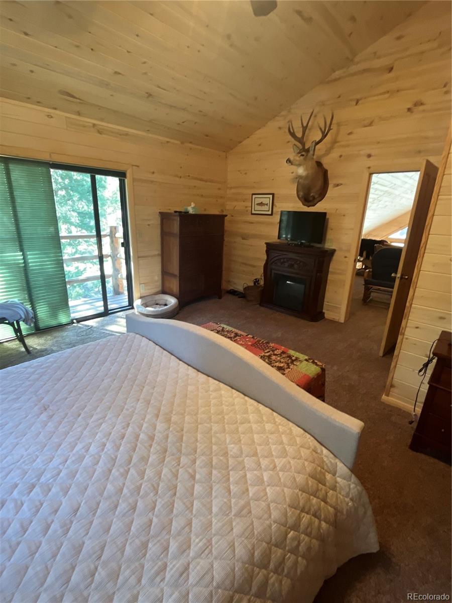 MLS Image #10 for 179  elk meadow run,antonito, Colorado