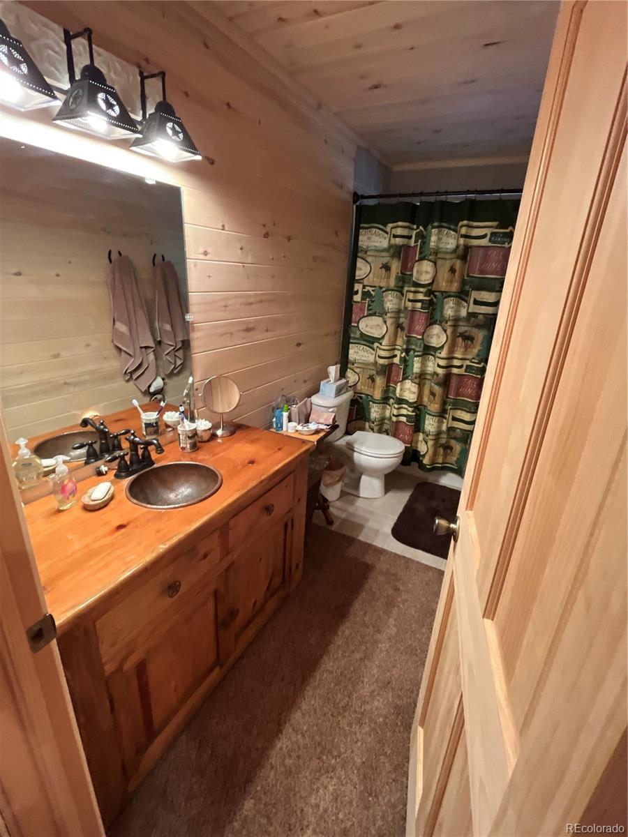 MLS Image #11 for 179  elk meadow run,antonito, Colorado
