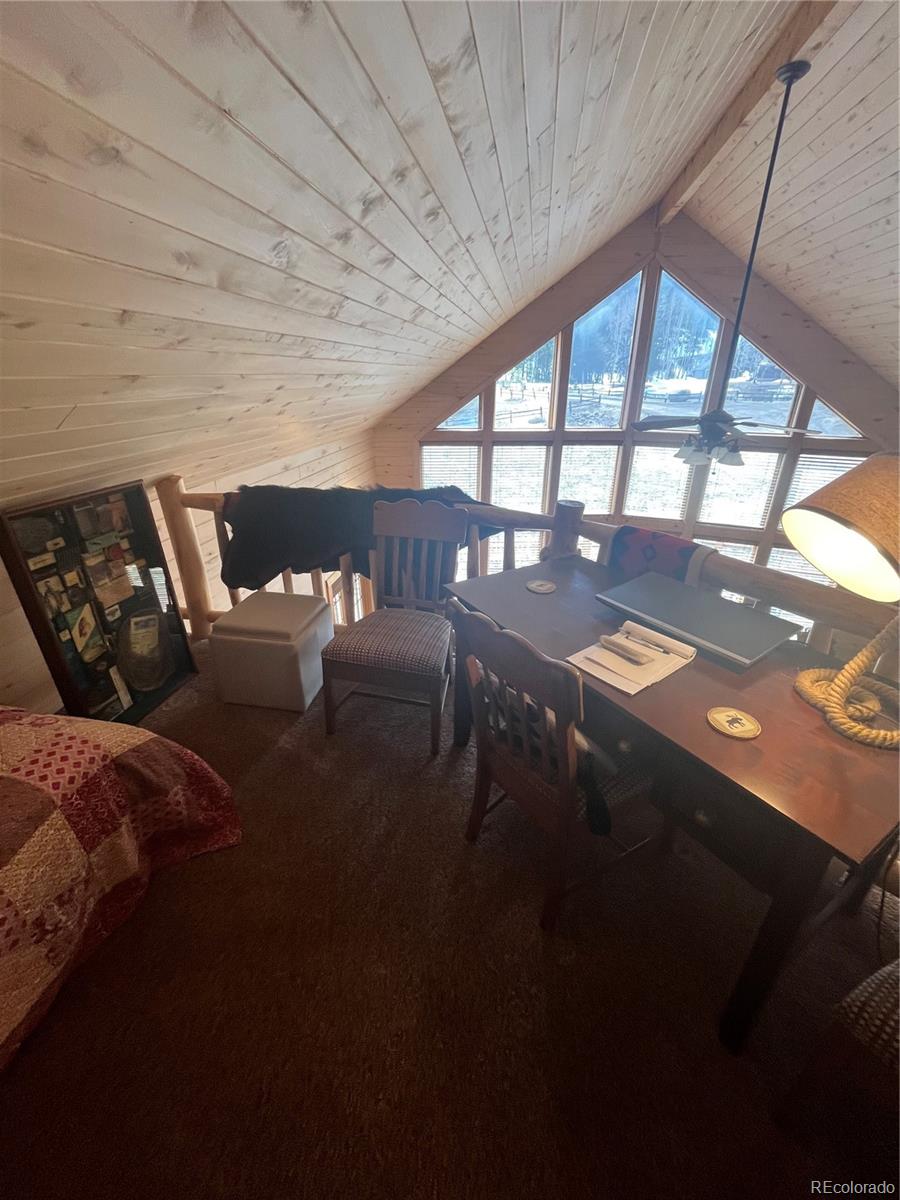 MLS Image #17 for 179  elk meadow run,antonito, Colorado