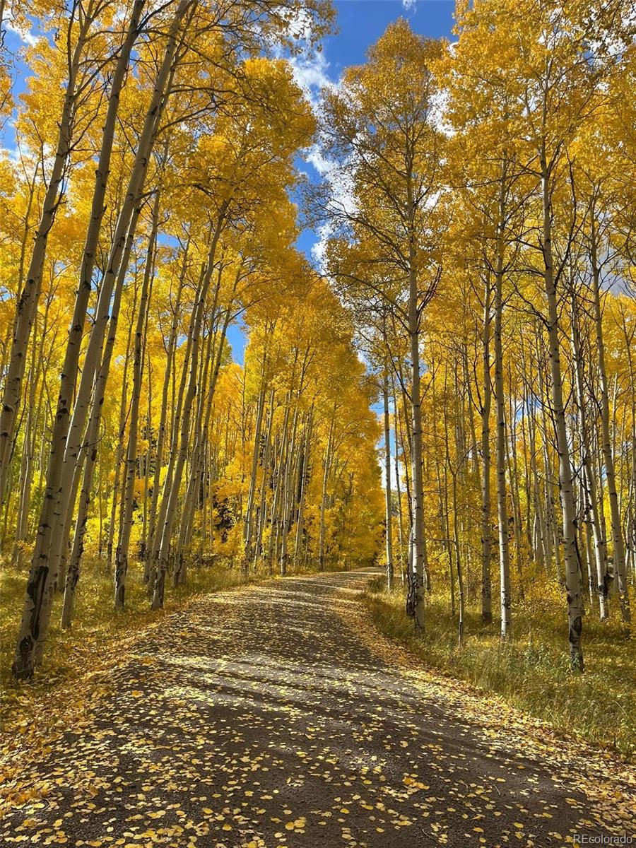 MLS Image #21 for 179  elk meadow run,antonito, Colorado