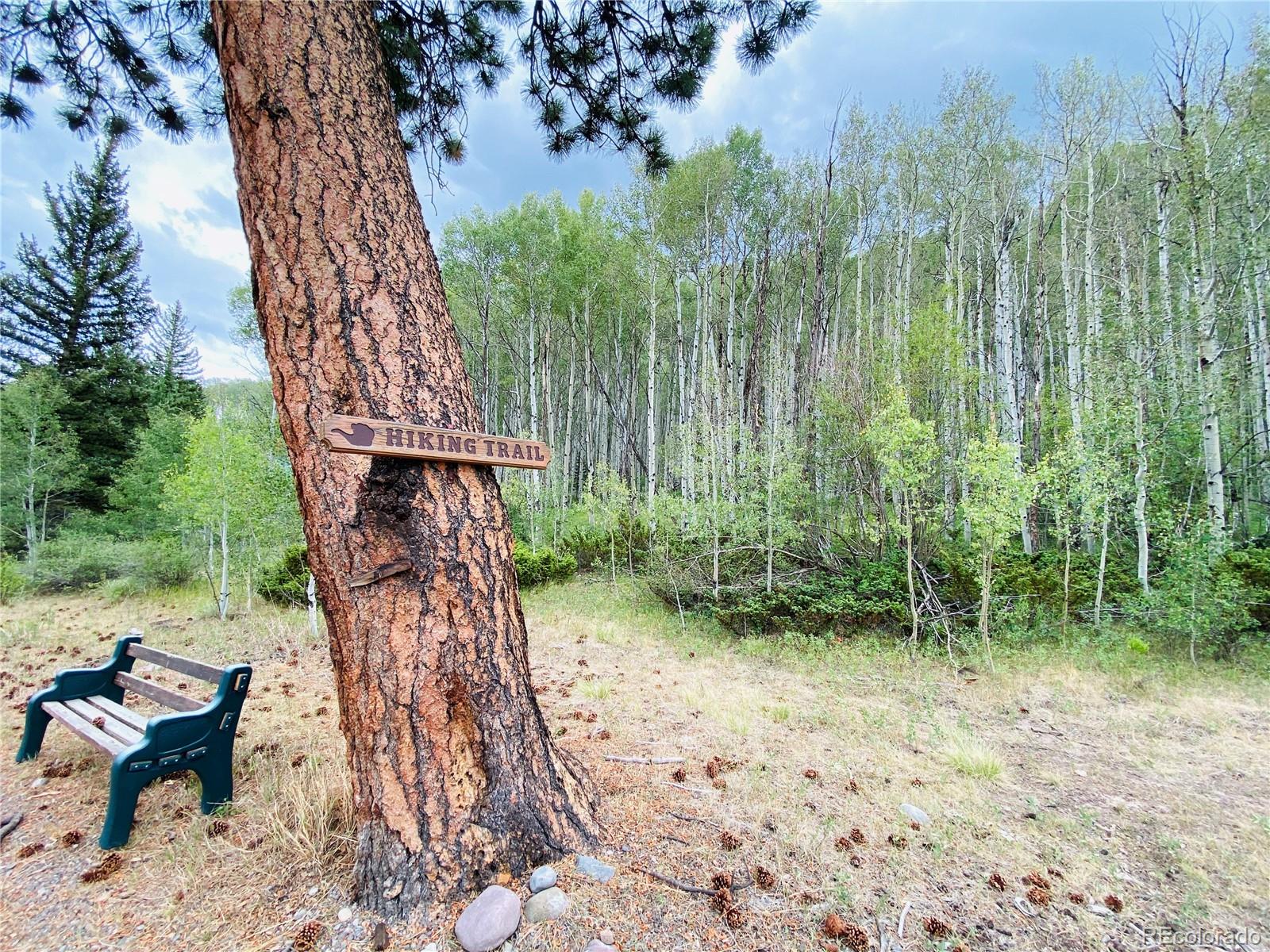 MLS Image #22 for 179  elk meadow run,antonito, Colorado