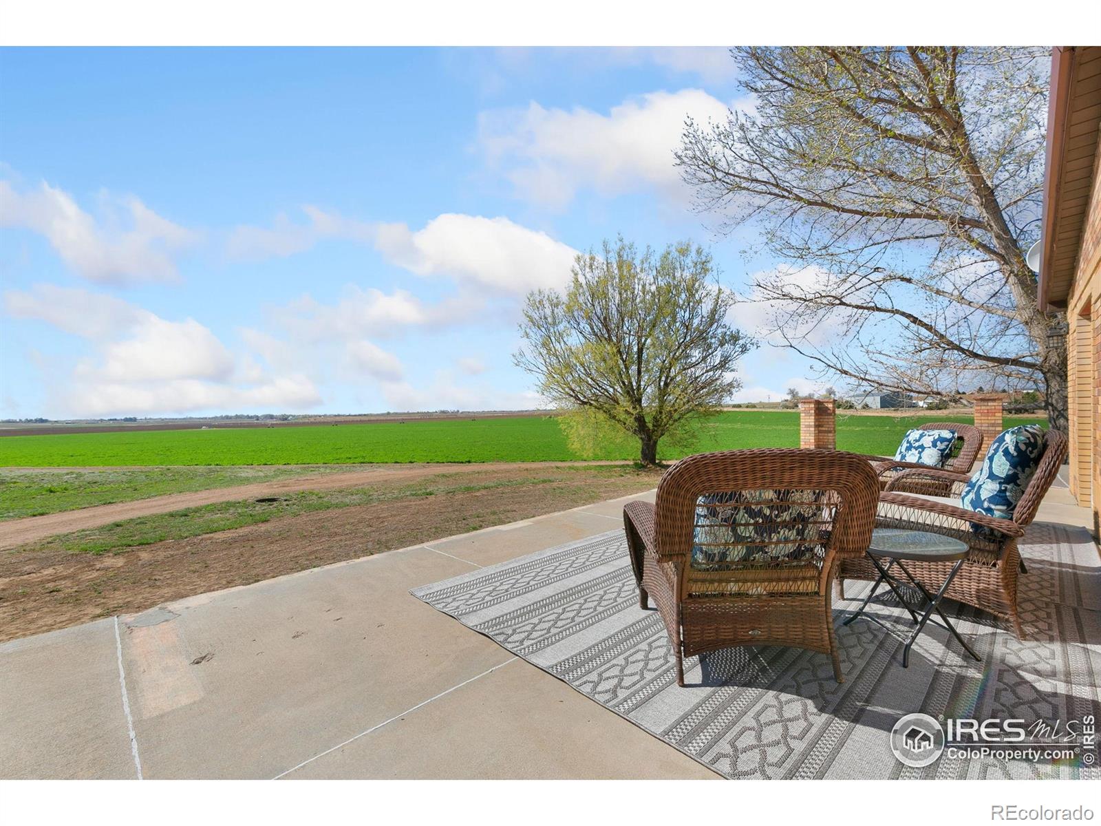 MLS Image #28 for 10056  county road 76 1/2 ,windsor, Colorado