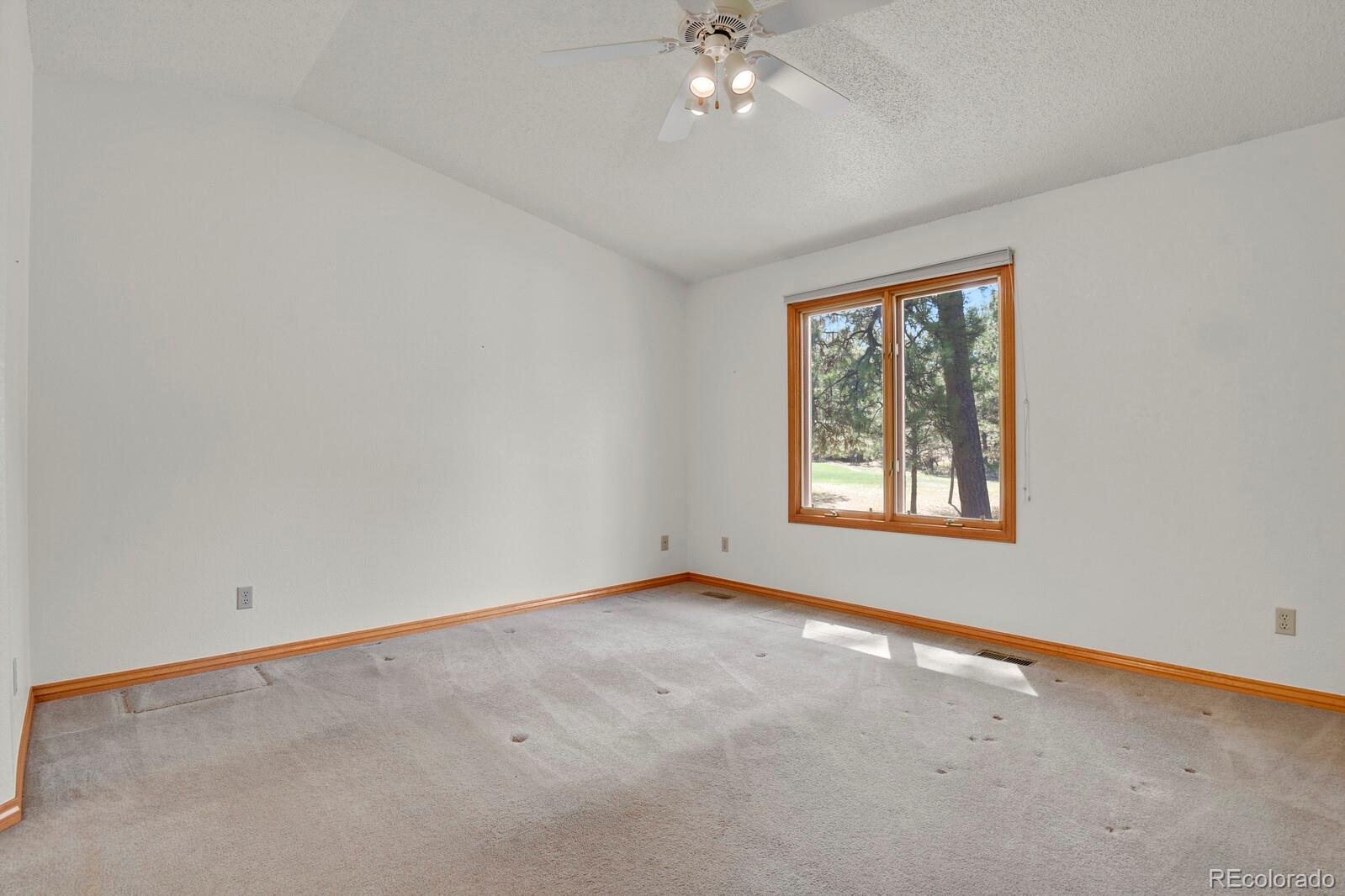 MLS Image #12 for 4674  ash terrace,elizabeth, Colorado