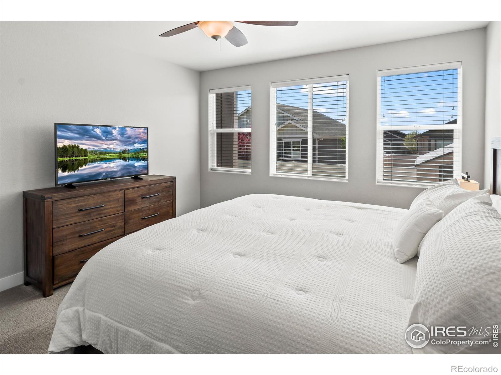 MLS Image #12 for 6057  carmon drive,windsor, Colorado