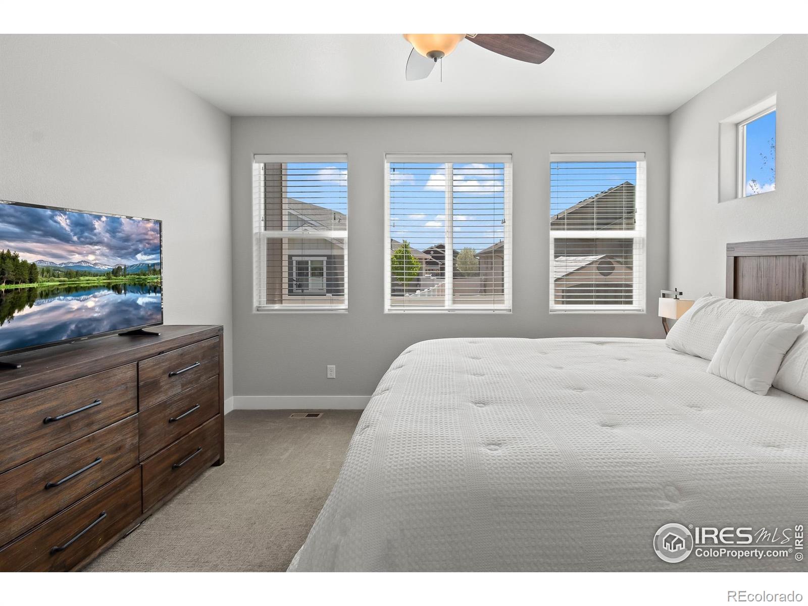 MLS Image #13 for 6057  carmon drive,windsor, Colorado
