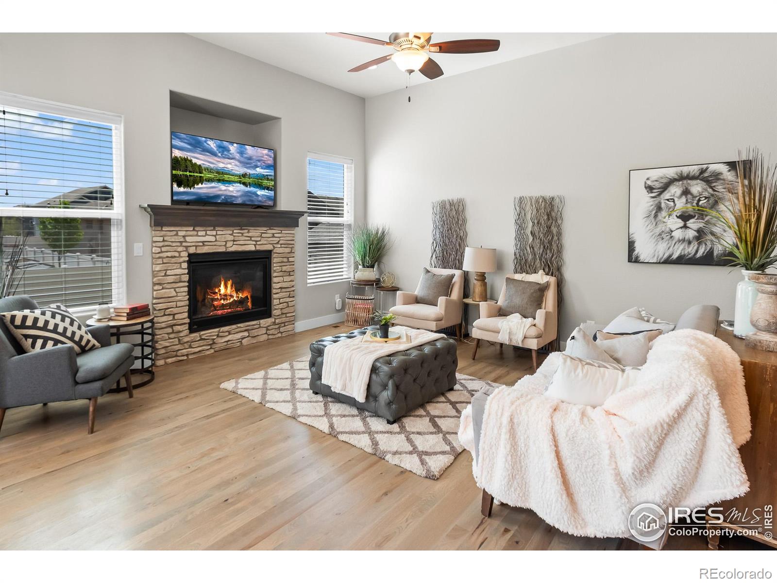 MLS Image #2 for 6057  carmon drive,windsor, Colorado