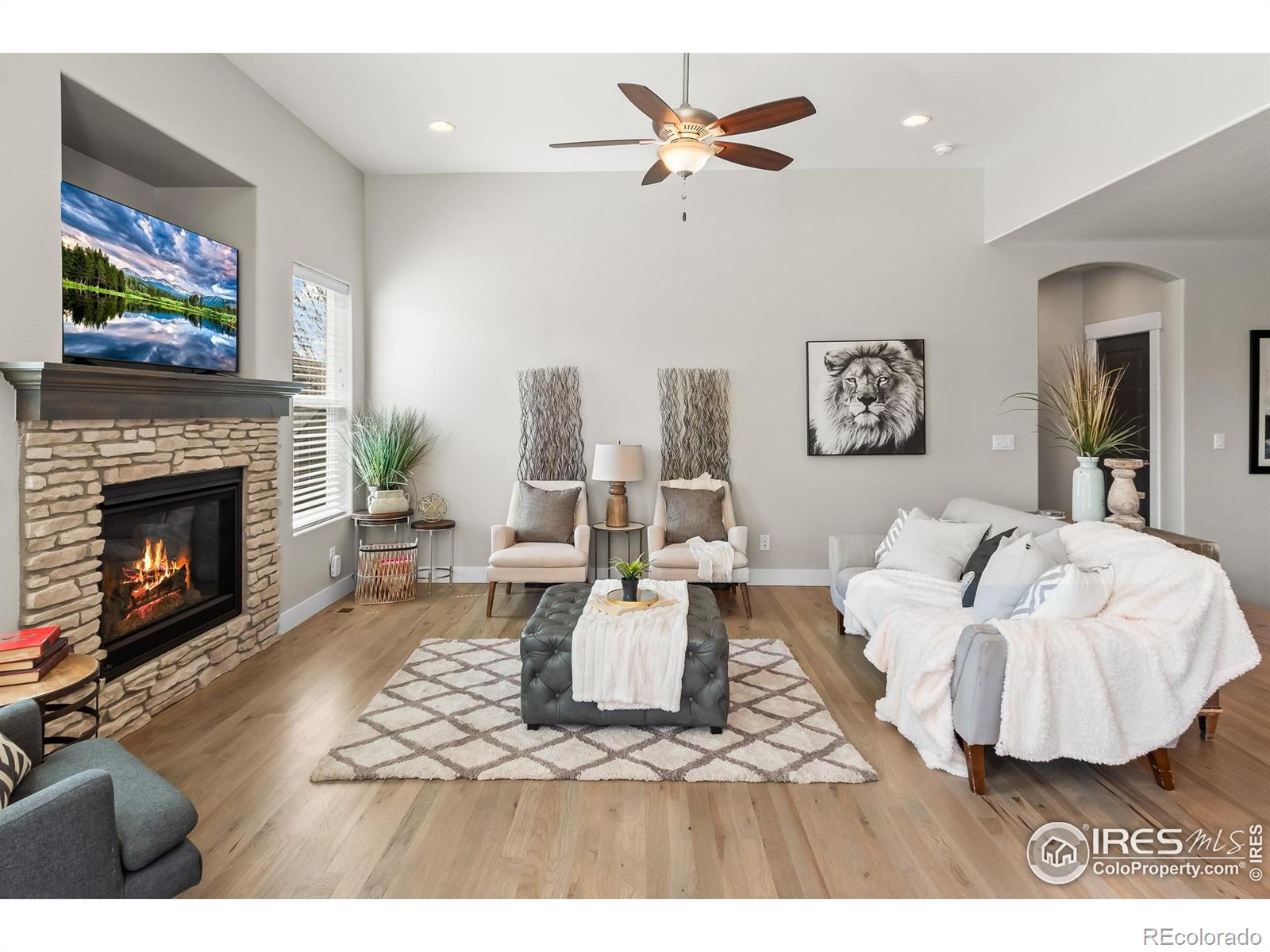 MLS Image #6 for 6057  carmon drive,windsor, Colorado