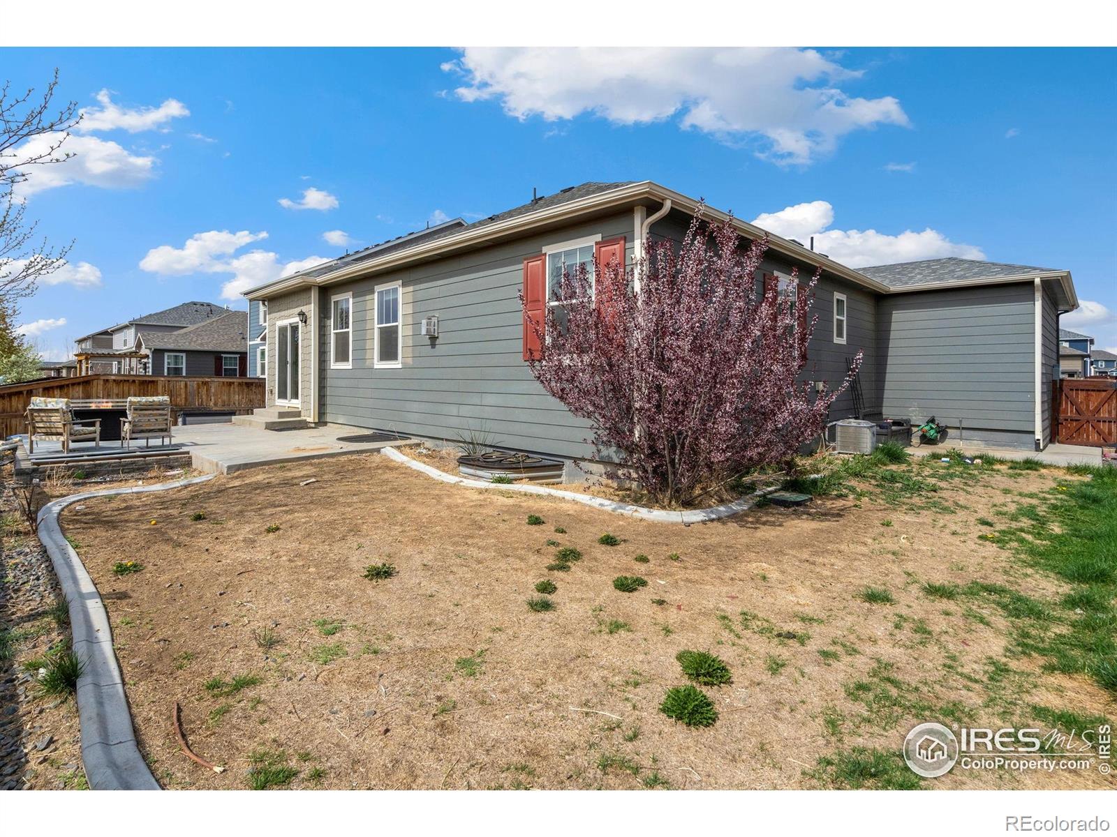 MLS Image #36 for 2000  rose petal drive,windsor, Colorado