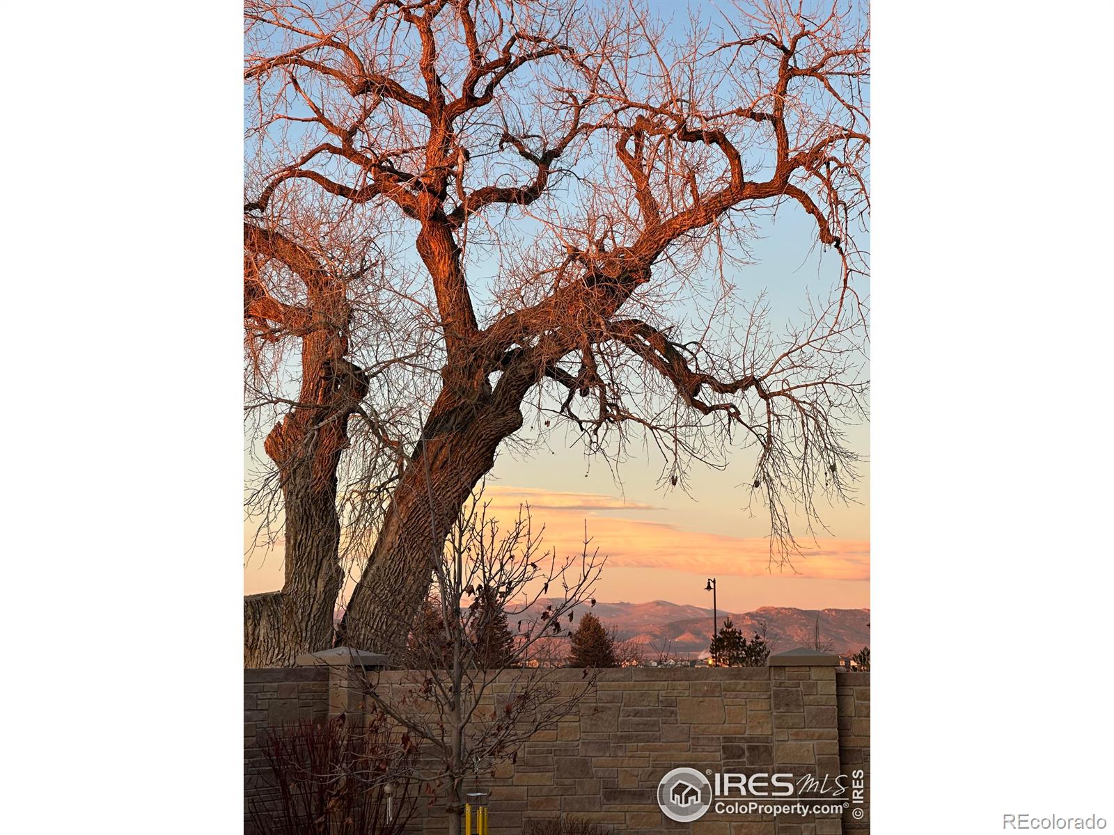 MLS Image #39 for 6359  foundry court,timnath, Colorado