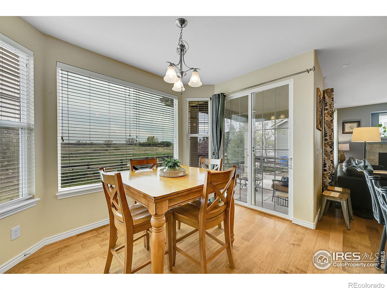 MLS Image #11 for 82  rivera court,erie, Colorado