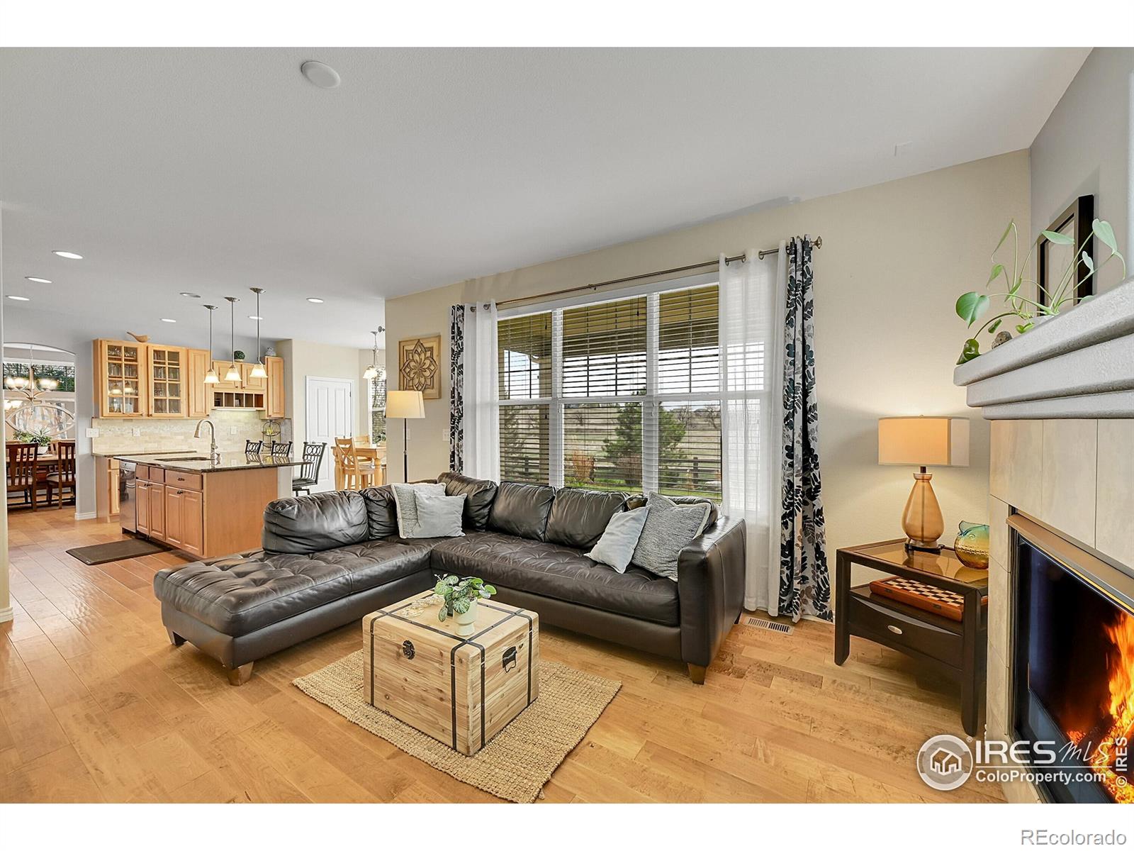 MLS Image #14 for 82  rivera court,erie, Colorado