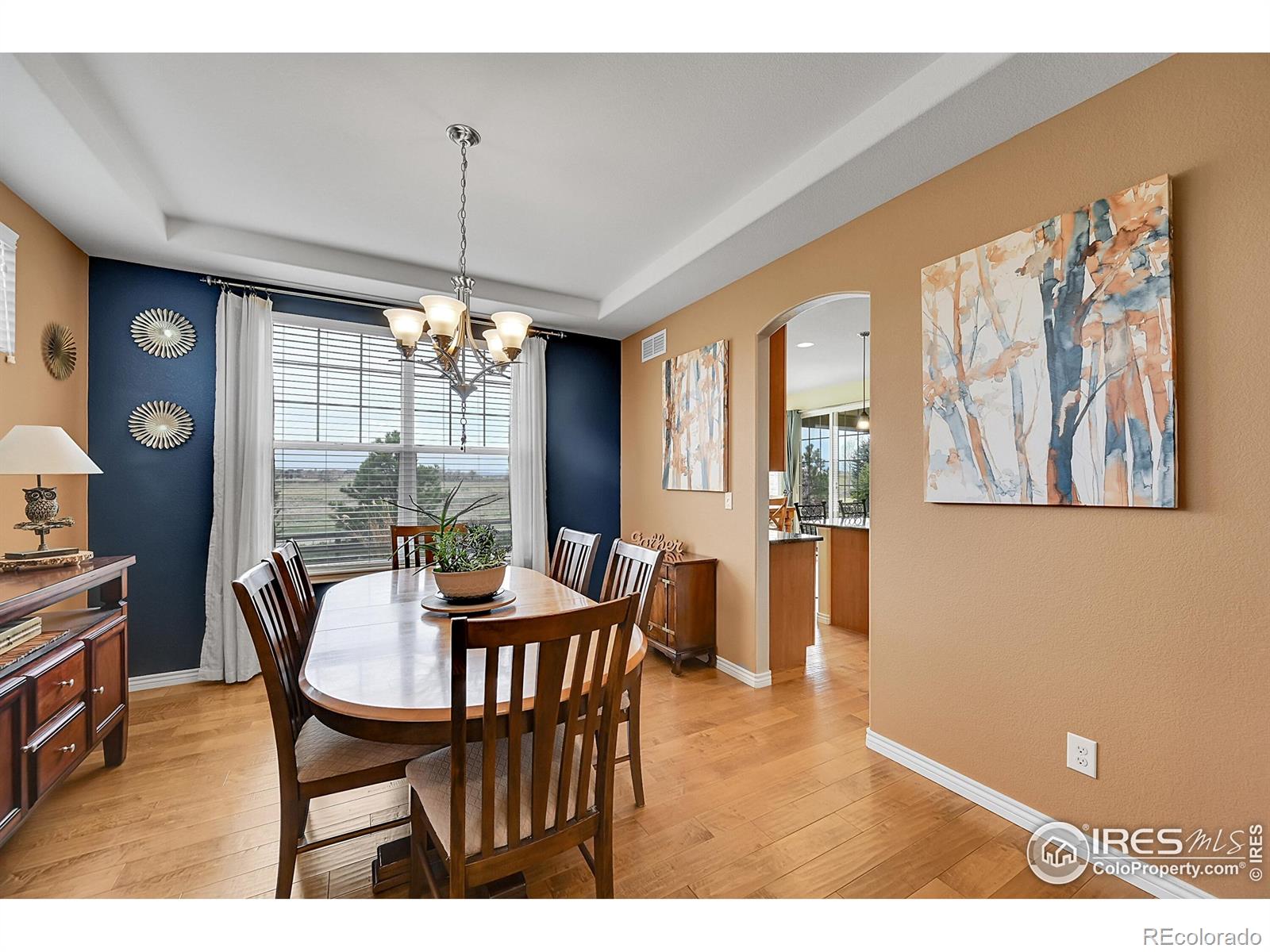 MLS Image #18 for 82  rivera court,erie, Colorado